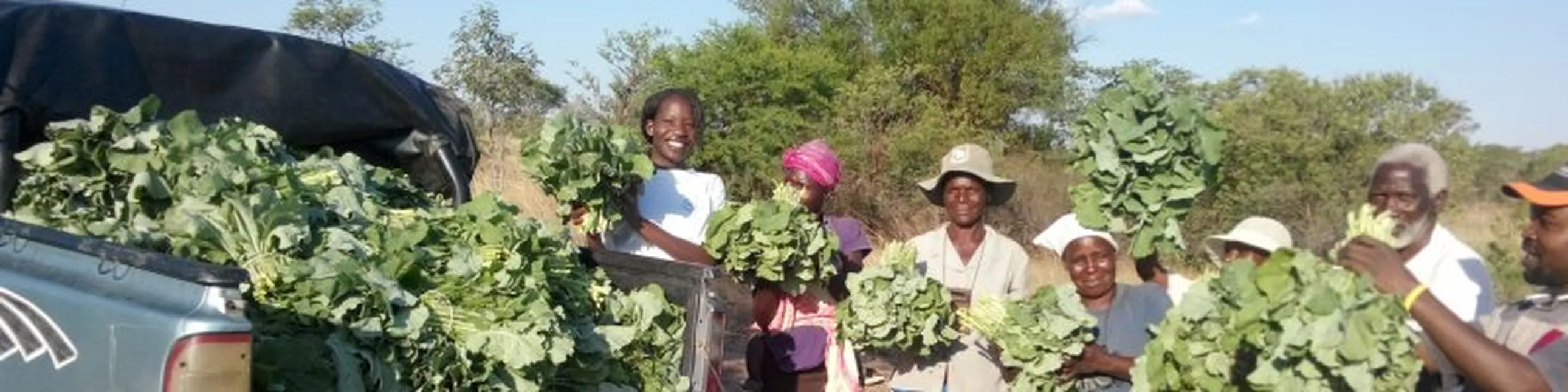 Rural Agriculture Revitalisation Programme - Commercialising Farming (RARP-CSF)
