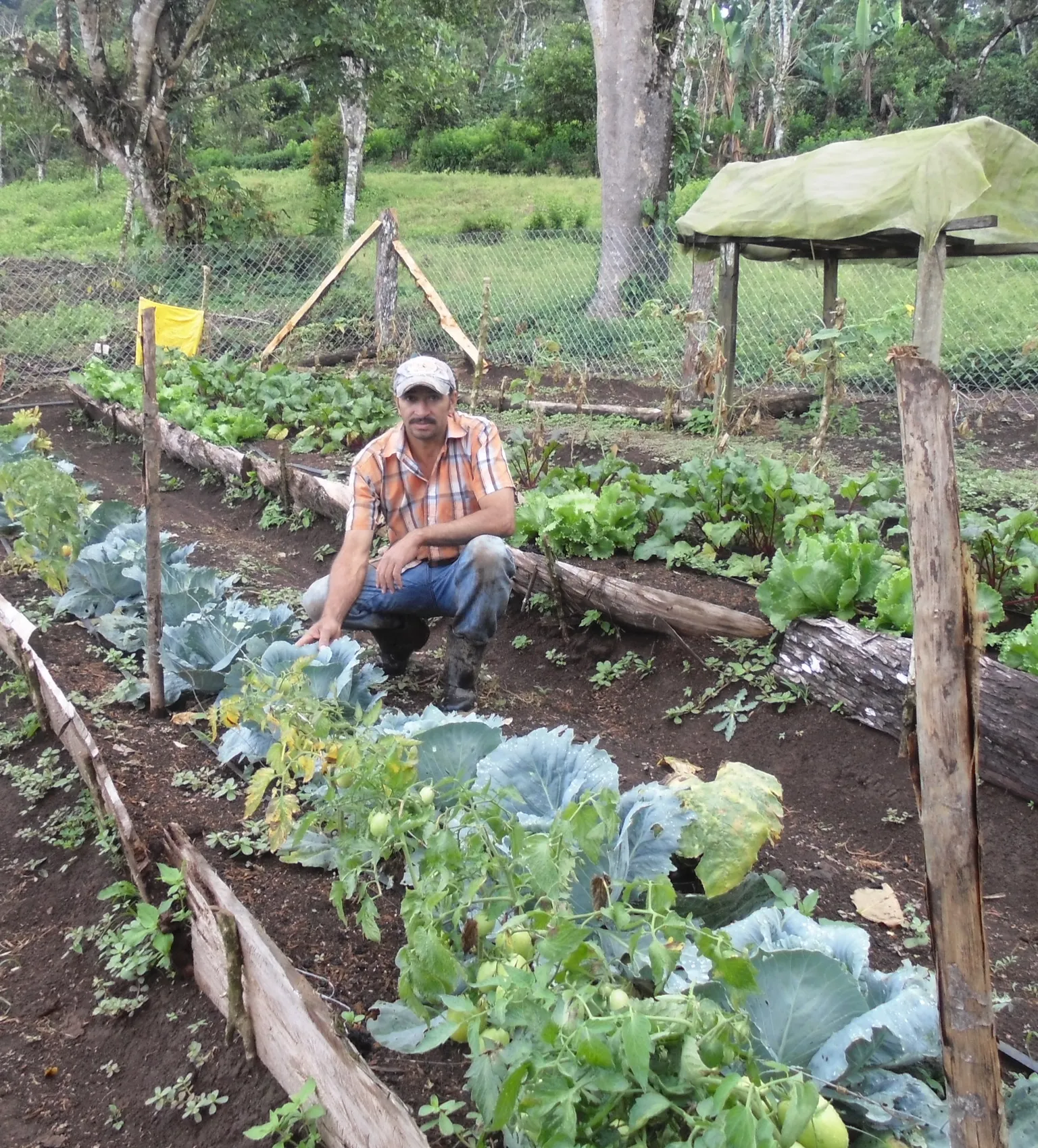 Improved nutrition and food security for coffee and cocoa farmers