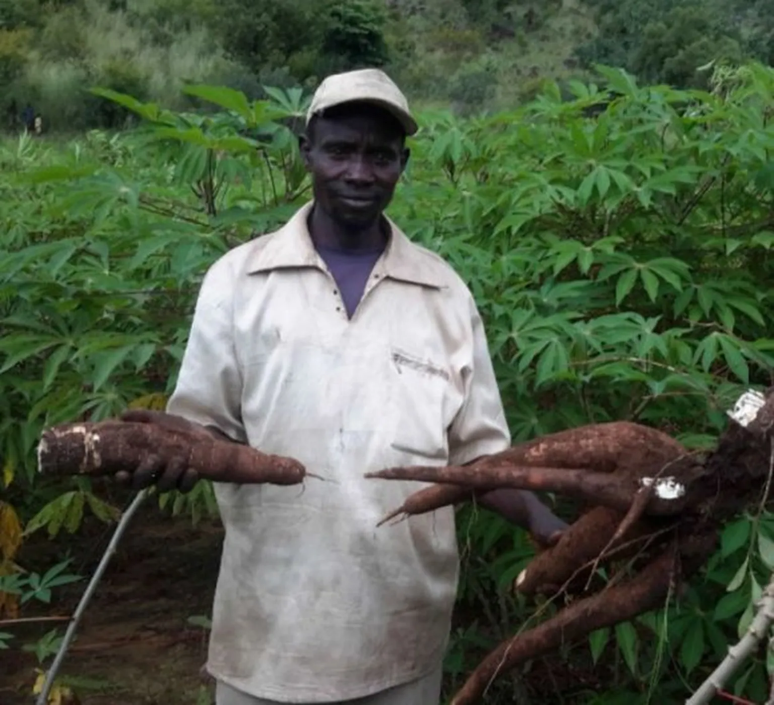 South Sudan Livelihoods Development Project (SSLDP)