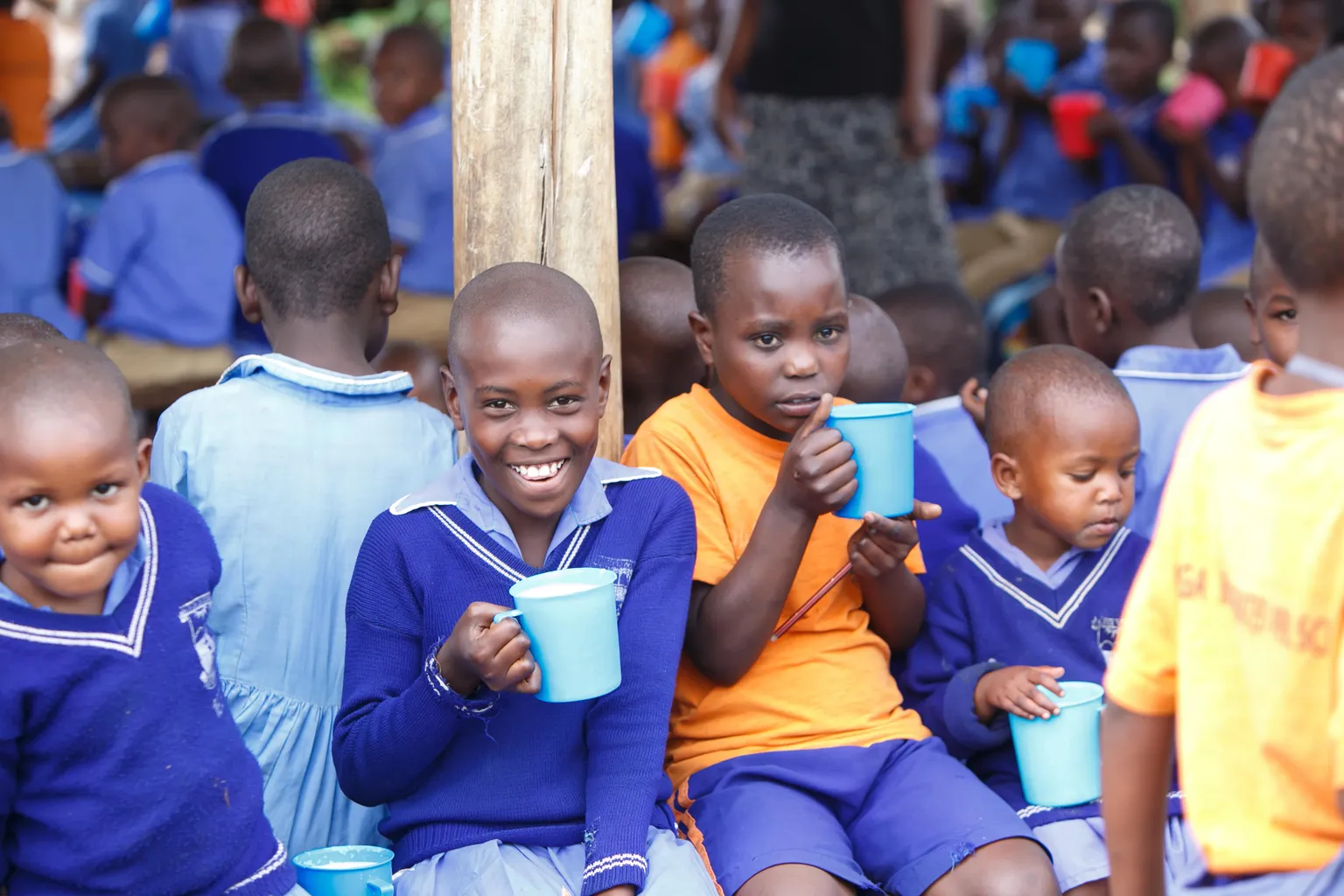 SNV School milk programme turns one, 70,000 school children now take milk