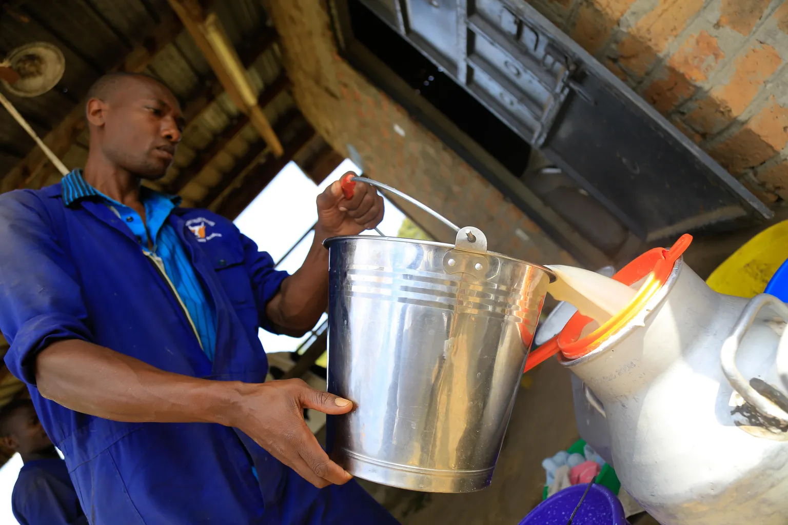 Transforming Uganda's dairy sector