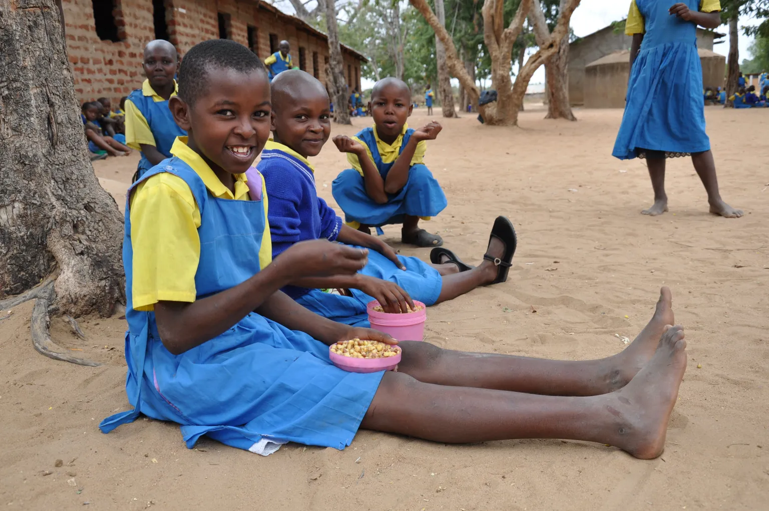 PG-HGSF case study: Improving Procurement Tools for Smallholder Farmer Inclusion in Kenya
