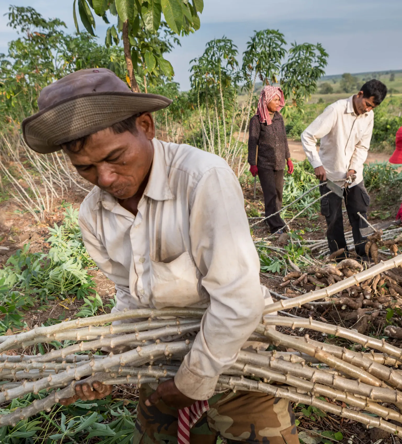 Regional cassava team visits Kampong Cham