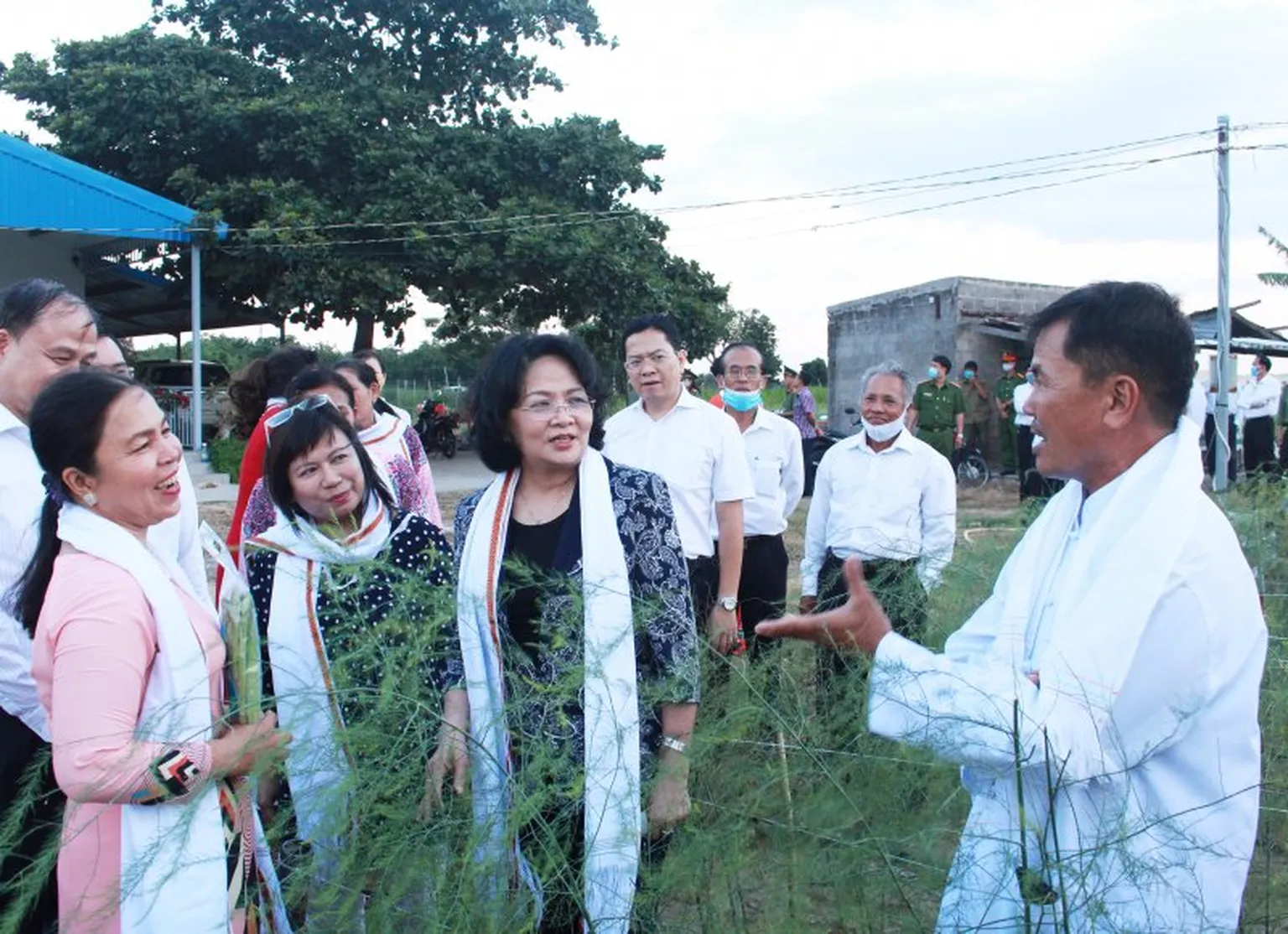 The Vice President visited the organic asparagus model, supported by SNV