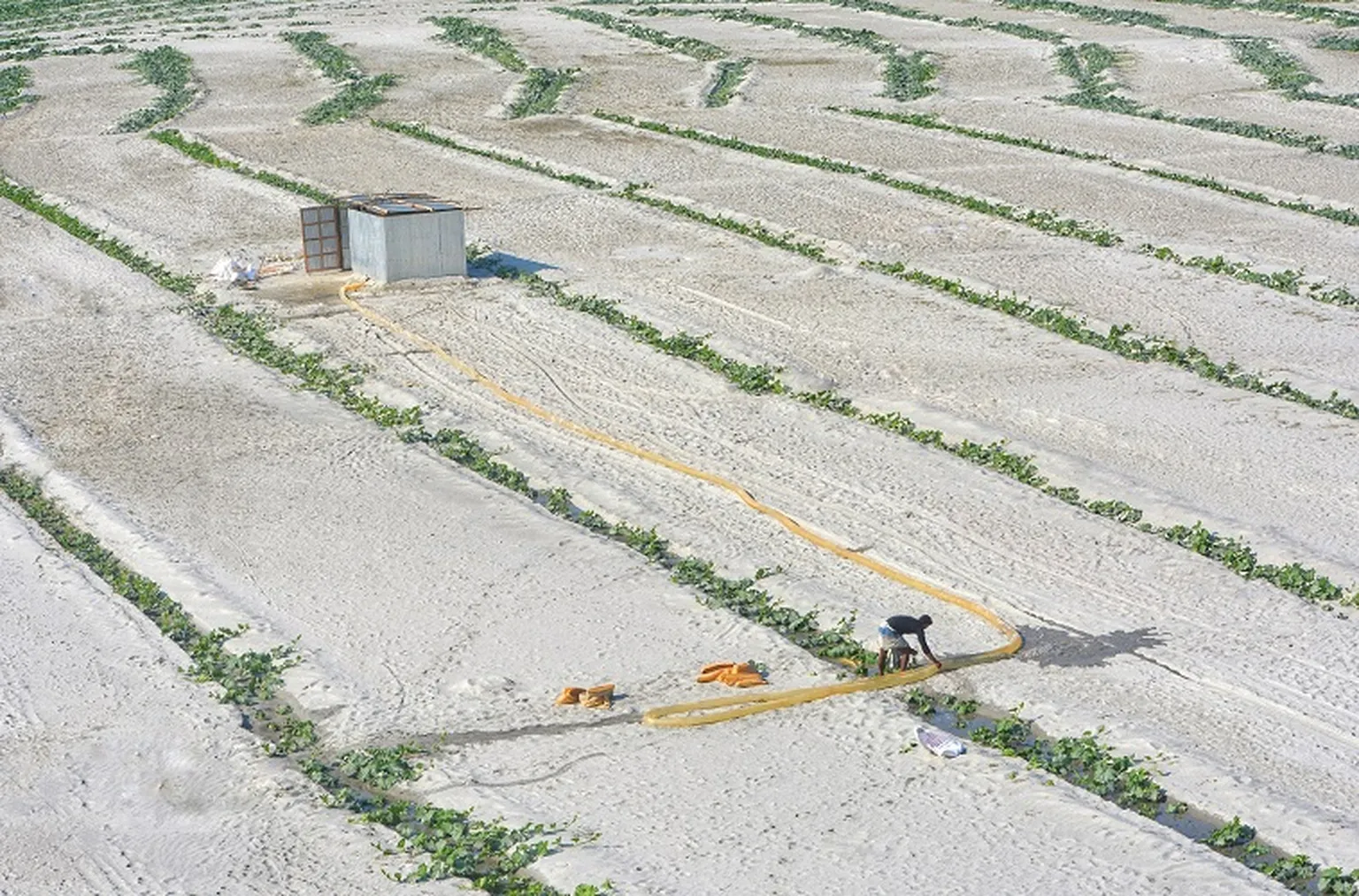 Water to cultivate the land
