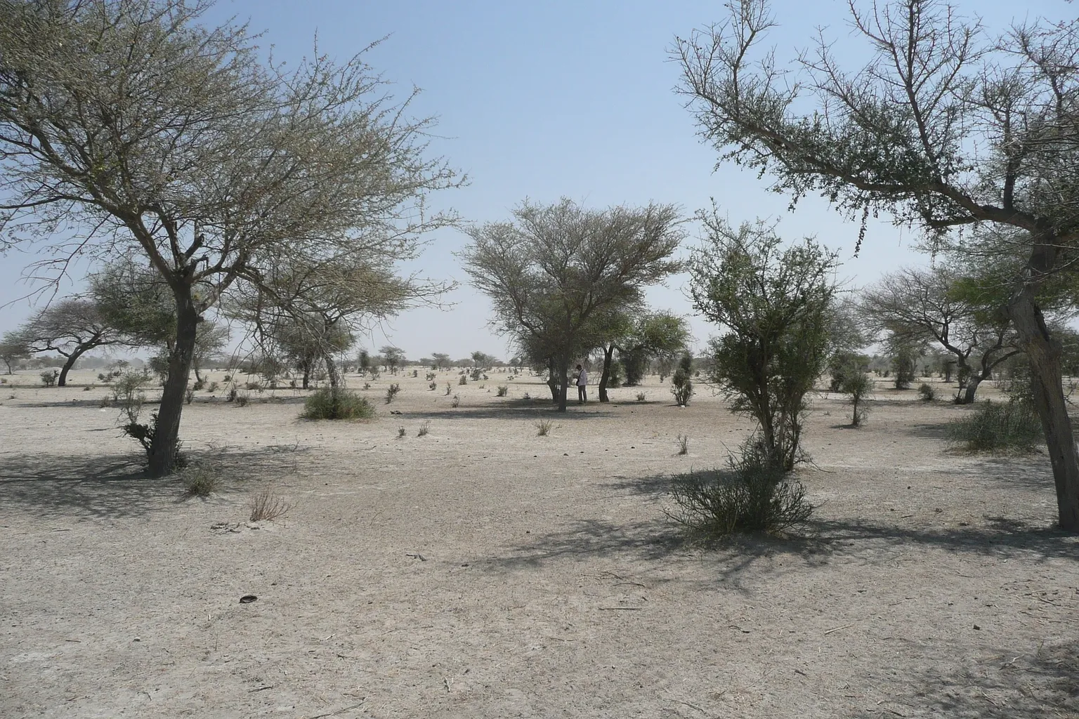 “One for all, all for one”: a national coalition for pastoral resilience is born in Burkina Faso (Story of Change)
