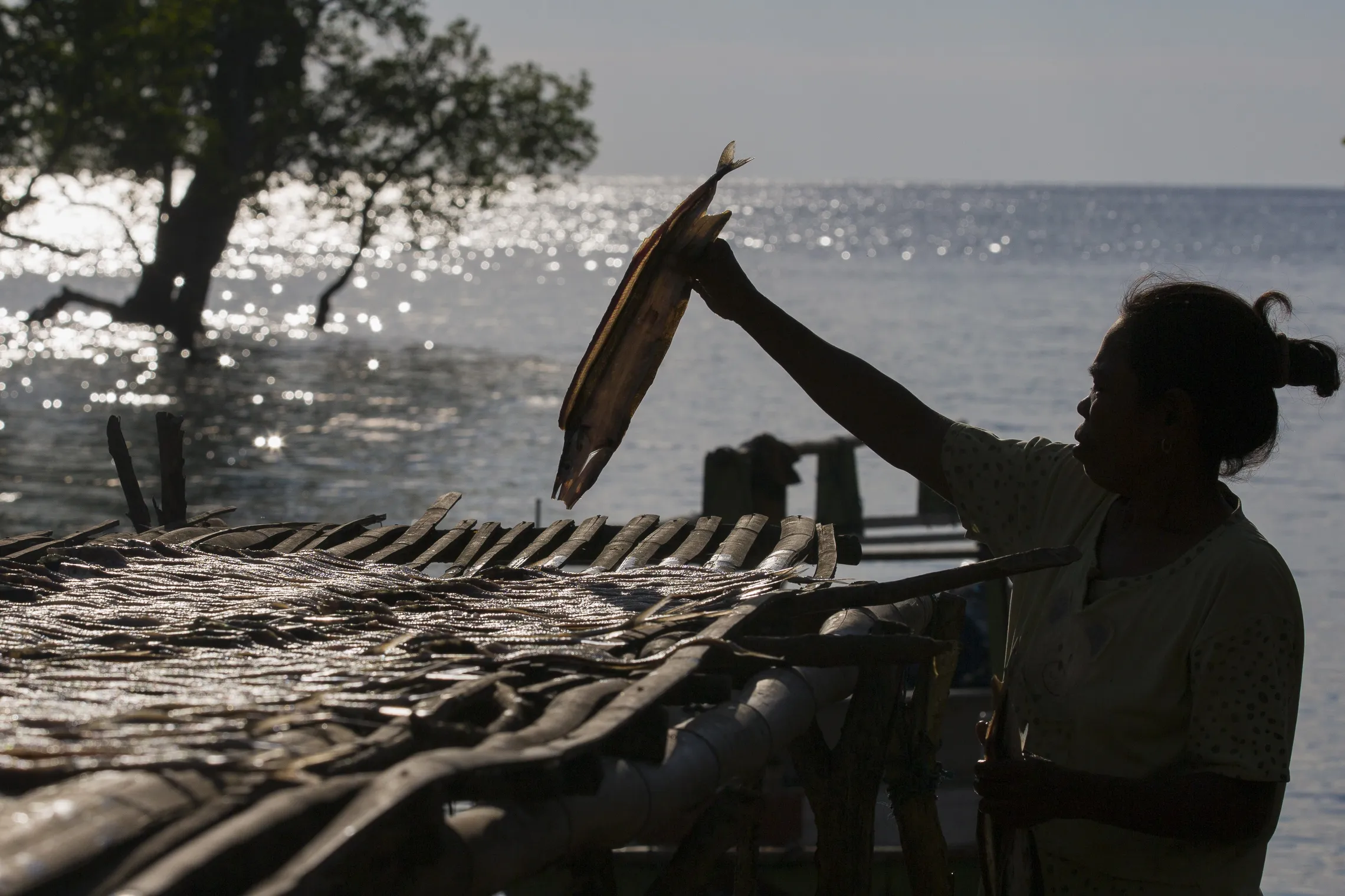 Woman drying fish caught in Kolaka Village, East Flores District.