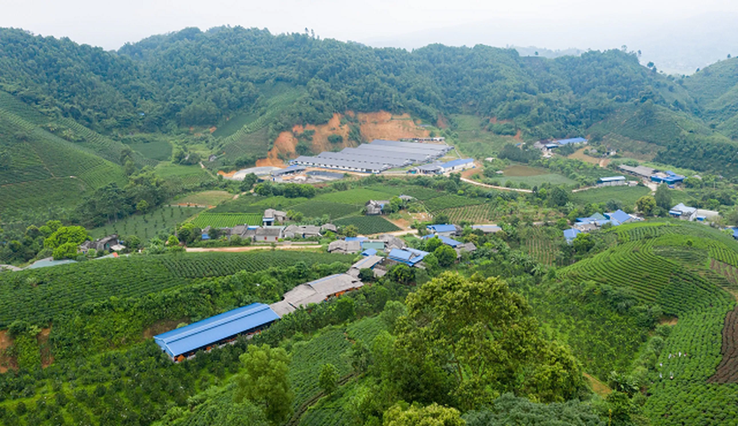 Biogas project image