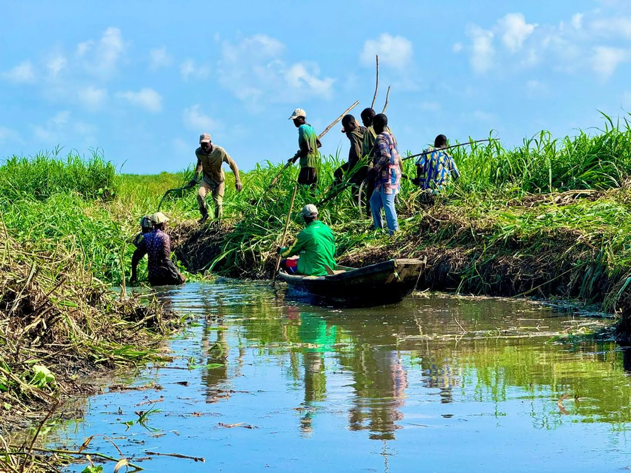 People clearing grass and debris by a canal, with one person in a small boat and others on the bank. Bright blue sky and lush greenery surround them.