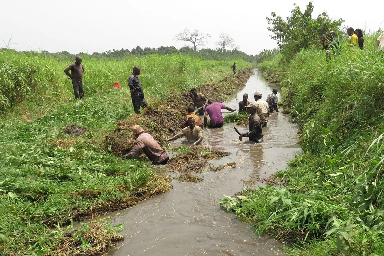 Clearing canals filled to improve resilience to flooding in Benin