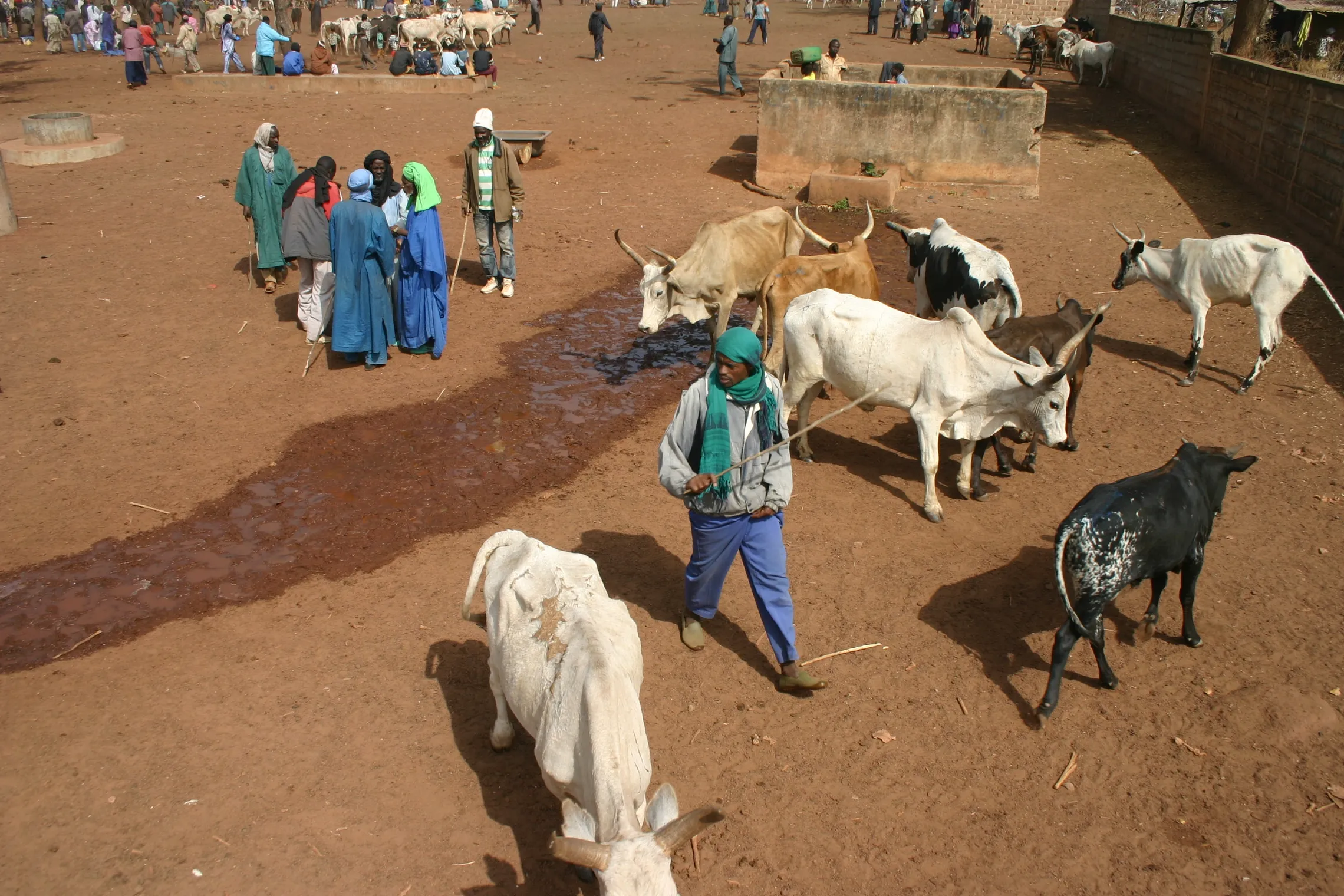 Creating employment for young people in Mali: it has started!