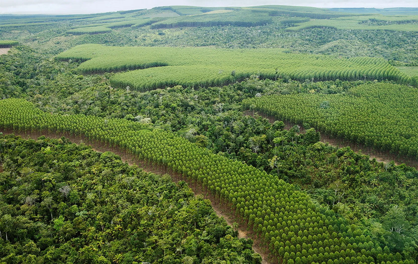 SilviCarbon Lao - DFCD partner