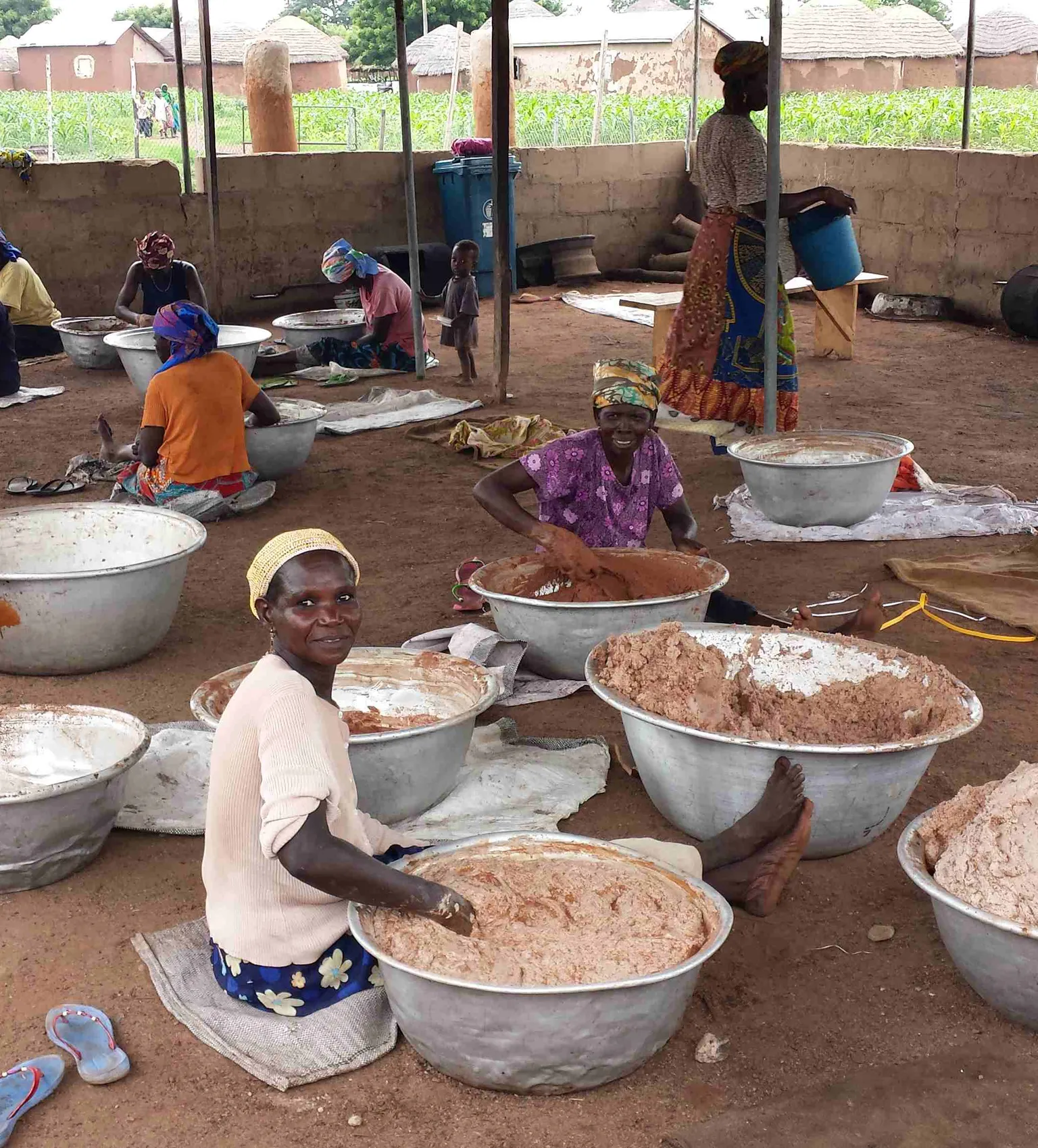 Towards a Malaria-Free Women Sheabutter Cooperative in Northern Ghana