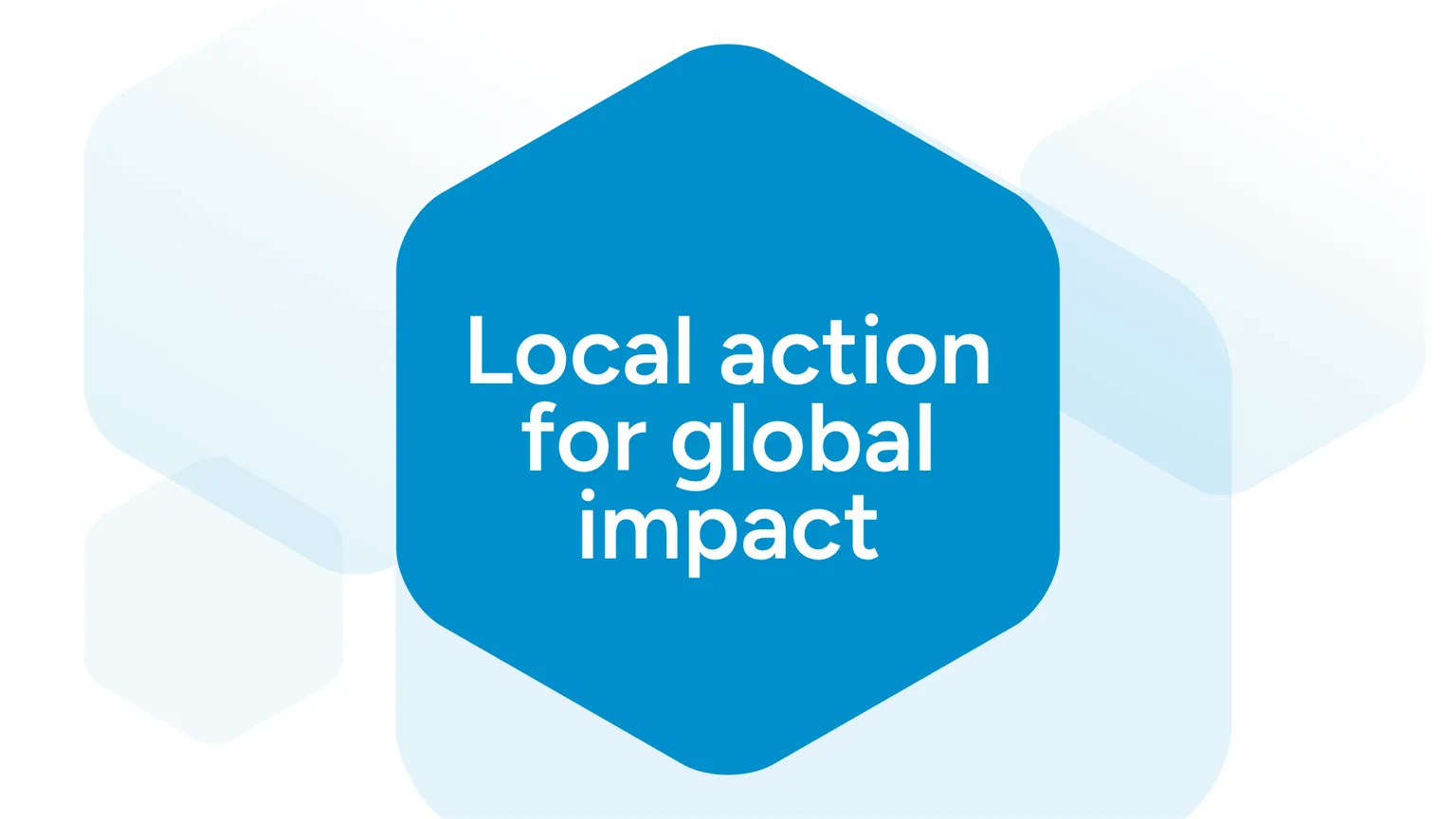 Local action initiative header