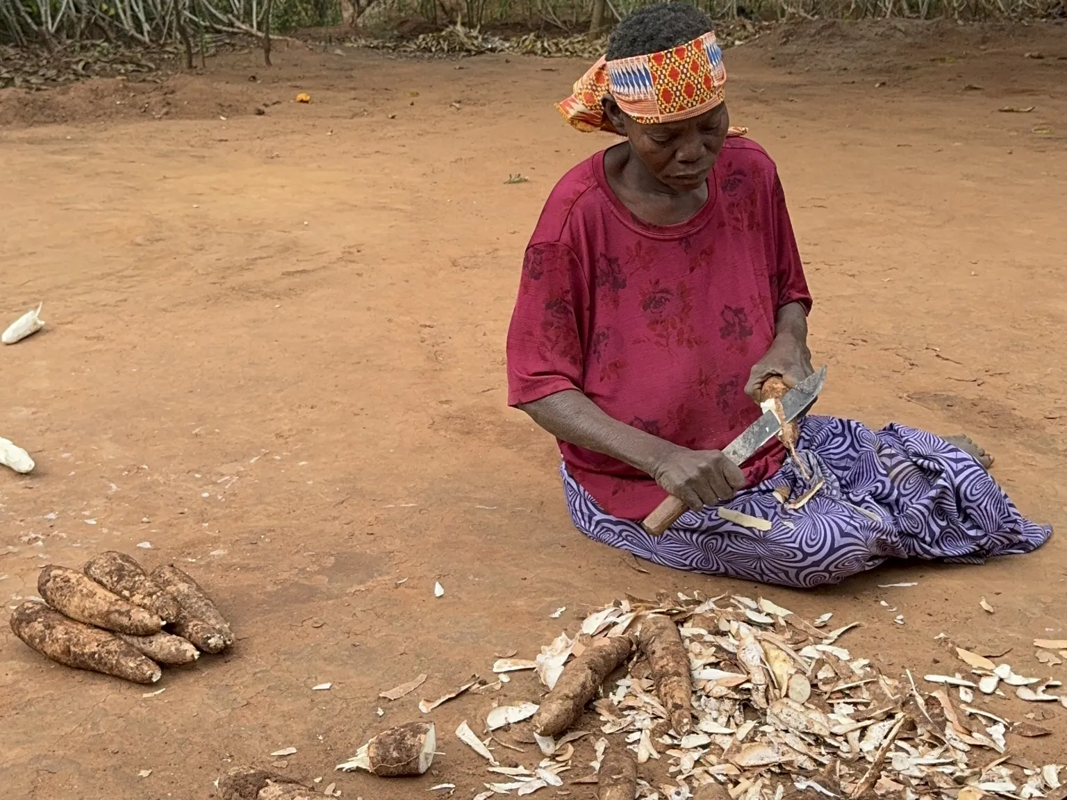 Lidia Francisco peeling harvested maniocs for the household's consumption