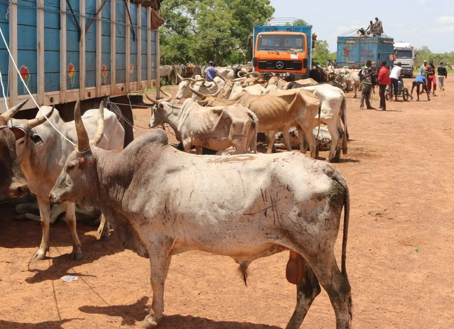 Three takeaways from the ReSAKSS Conference