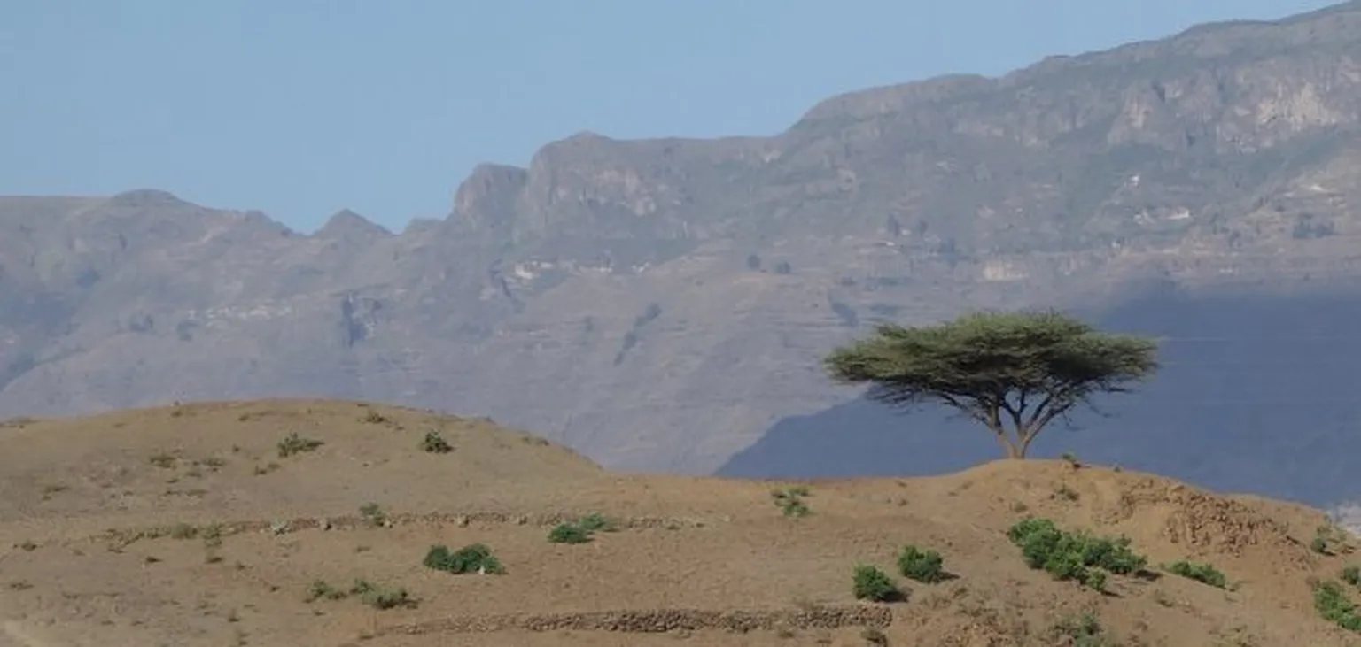 Ethiopian landscape