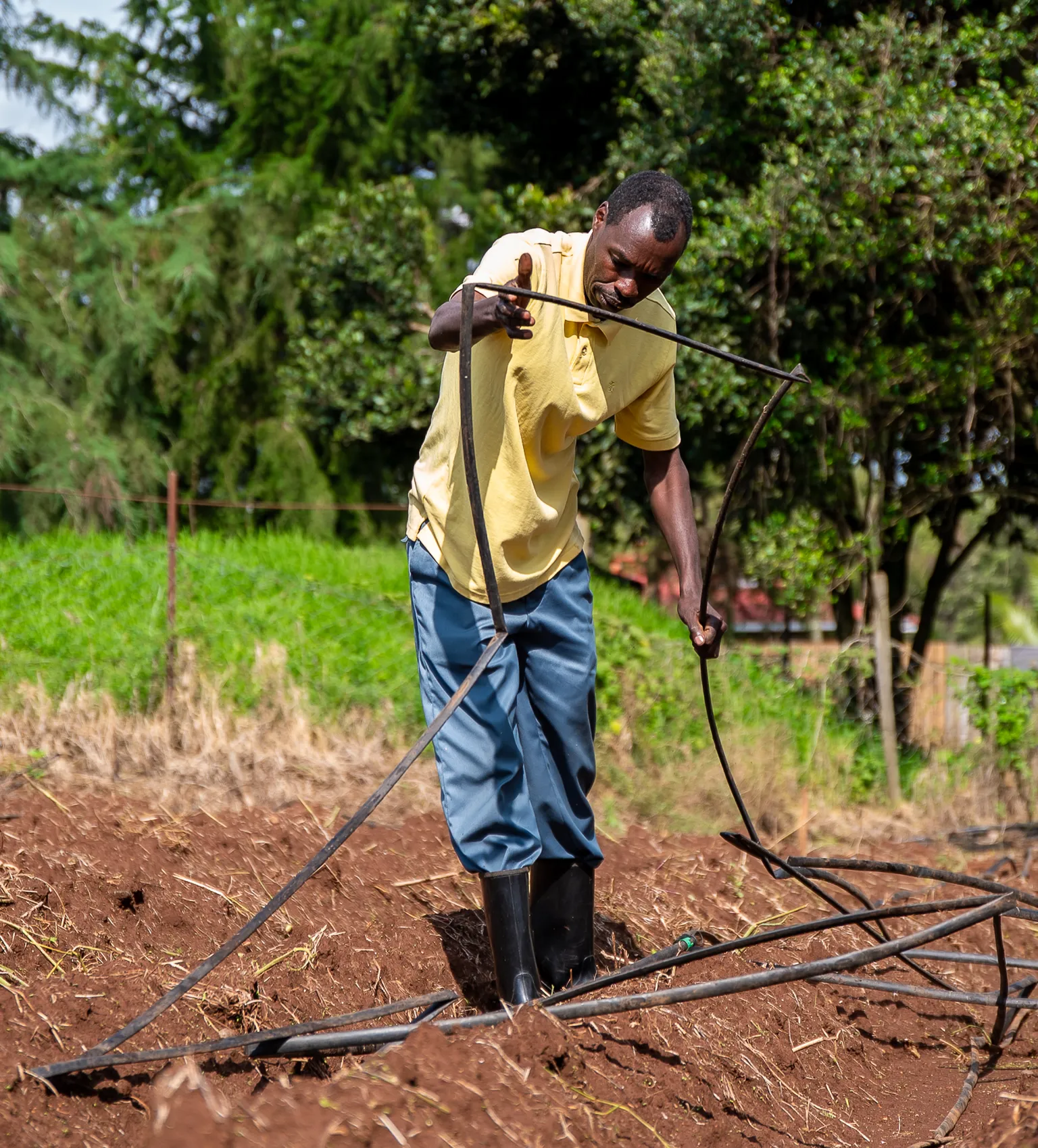 Farmer in Kenya on using drip irrigation