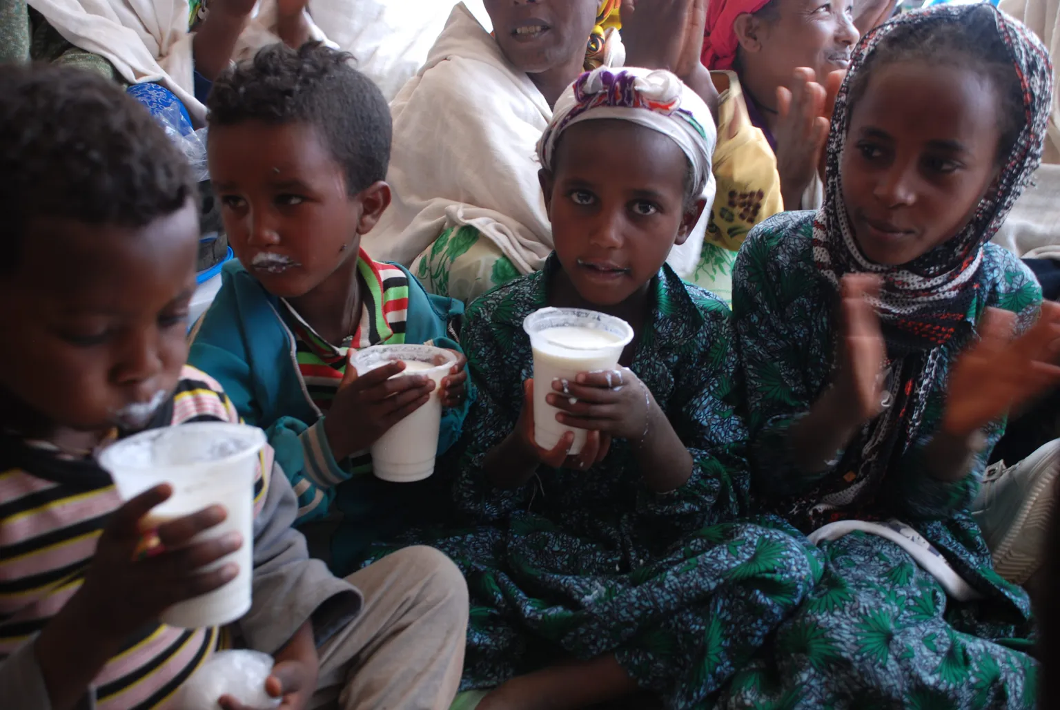 Milk production processes and marketing within the Ethiopian dairy sector need to be enhanced. Through the Enhancing Dairy Sector Growth in Ethiopia (EDGET) project, SNV is supporting smallholder dairy farmers in addressing these challenges.