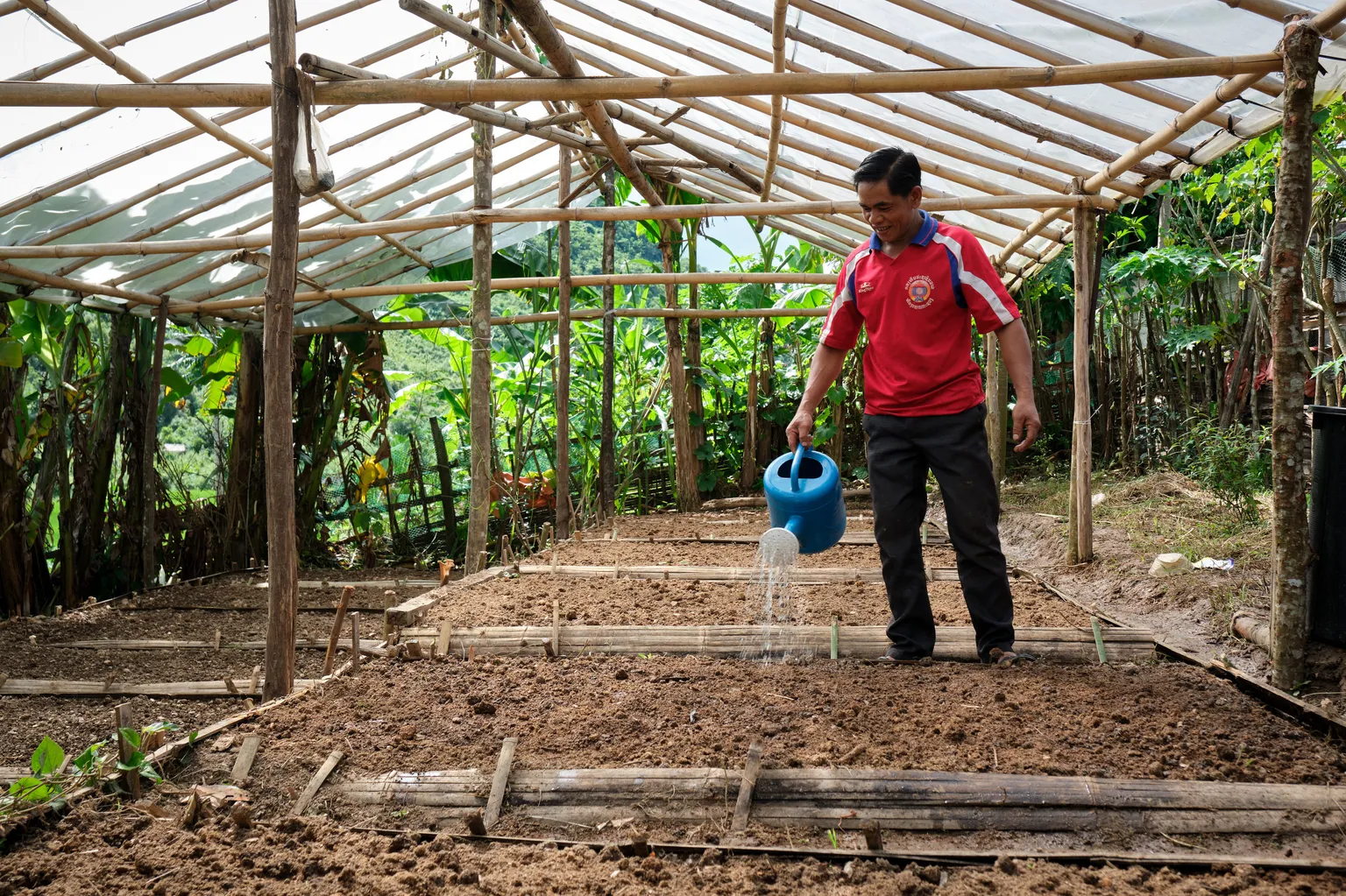 home gardening in Laos PDR