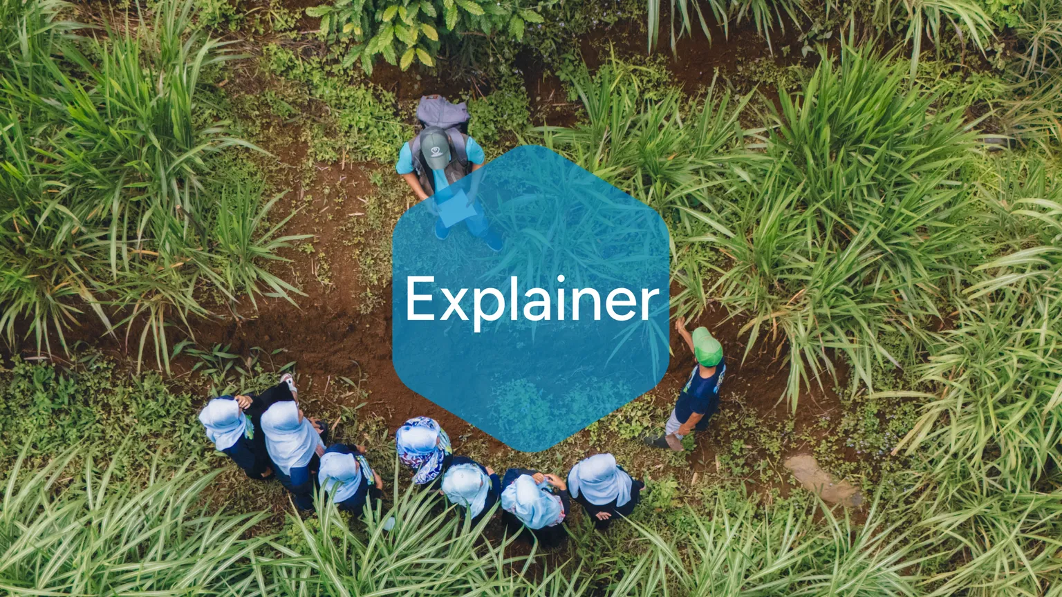 explainer-jakarta-pahala