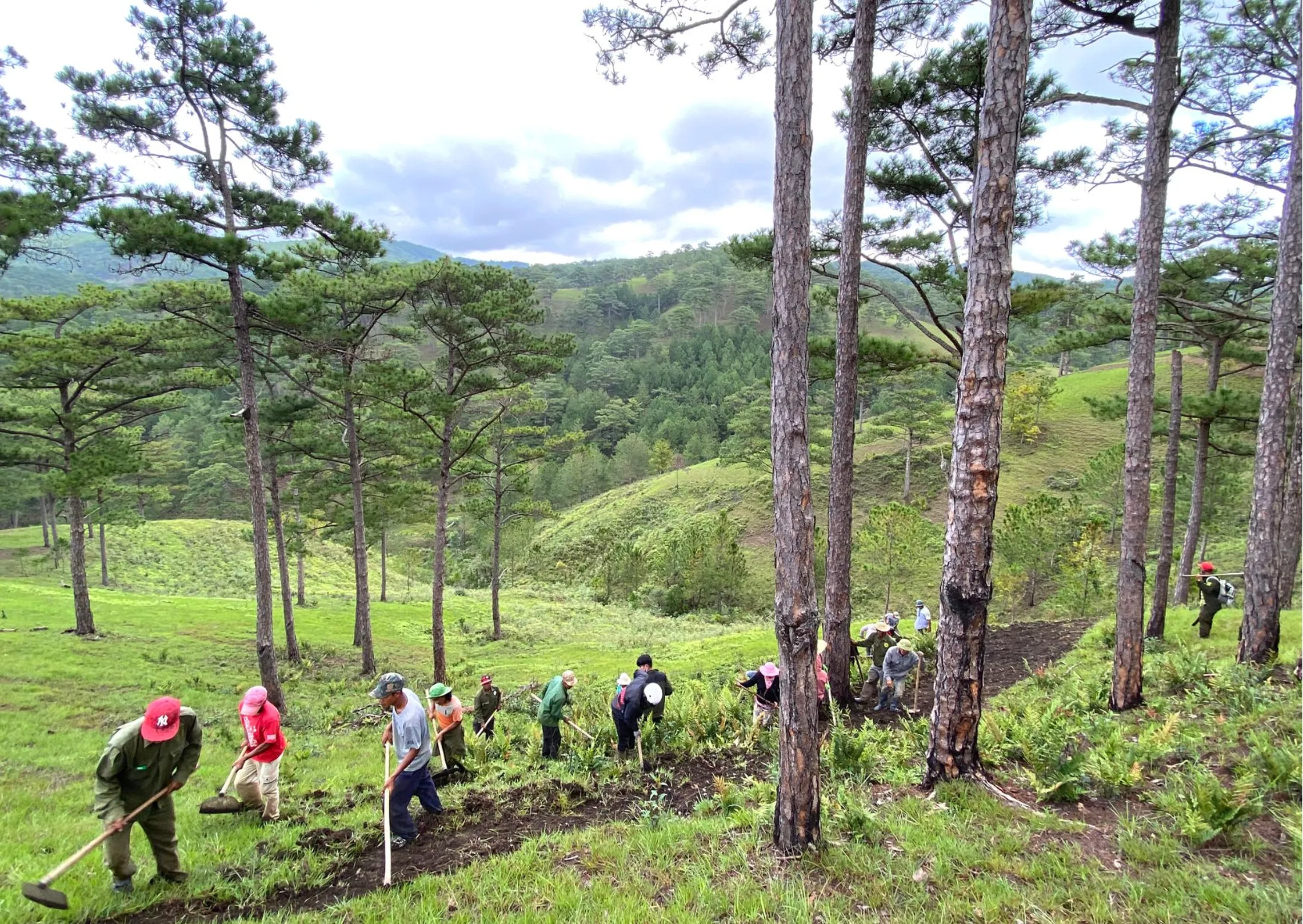 frontier farmers working in forest