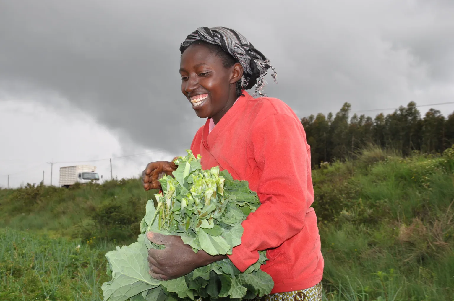 Female-led enterprise financing solutions
