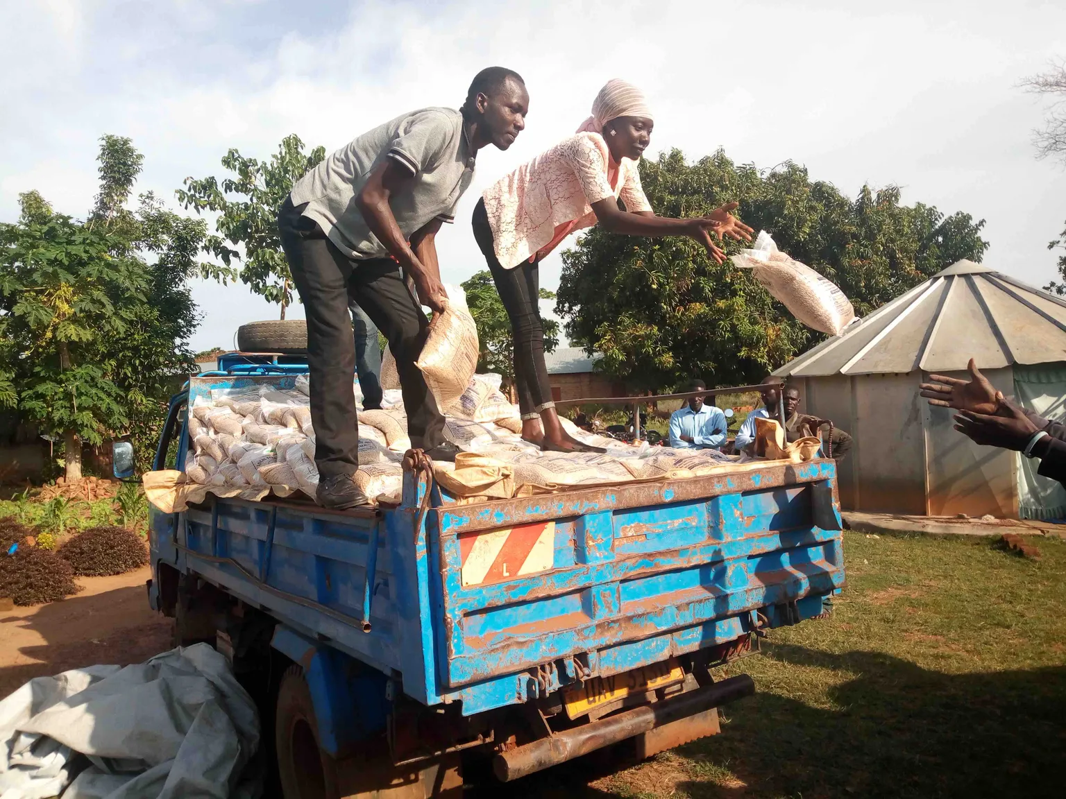 off loading seeds 