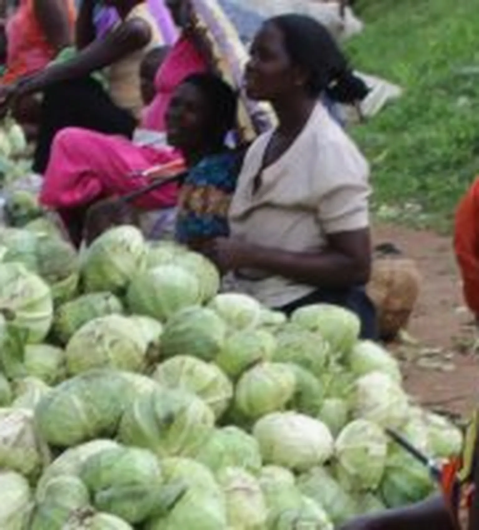 Markeplace with vegetables.