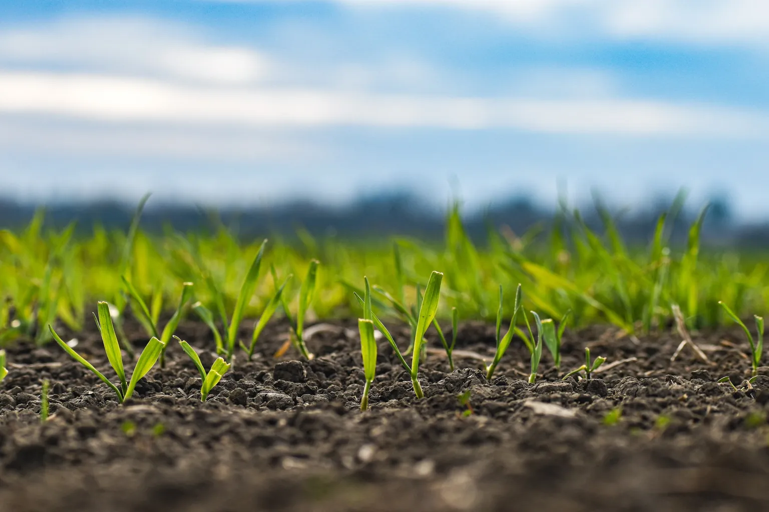 Blog banner image
