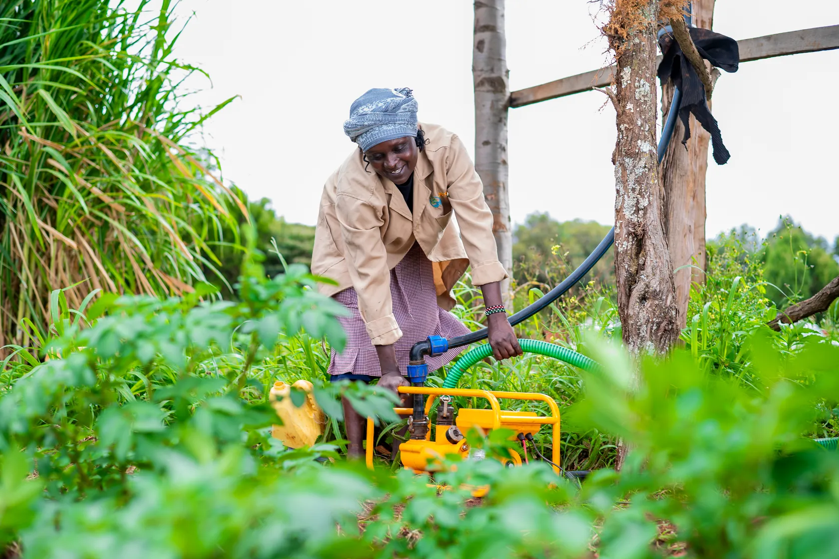 farmer using solar irrigation