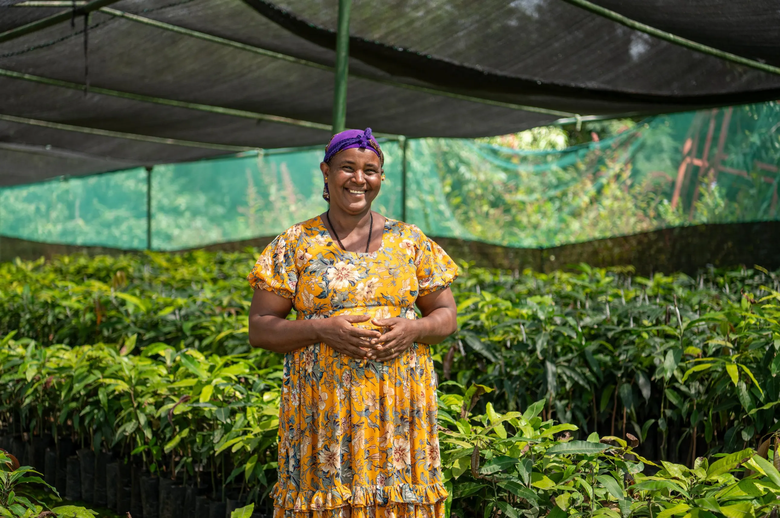 A woman in a yellow floral dress and purple headscarf stands smiling in a greenhouse filled with lush green plants.