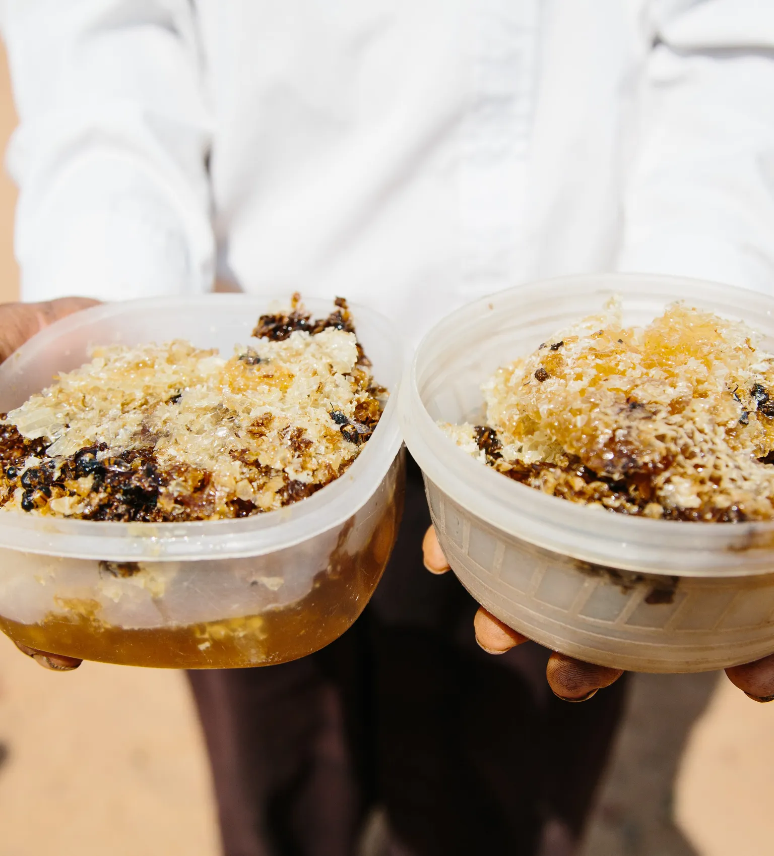 TIPEC-ZAS sponsors local honey processor to participate in BIOFACH 2014