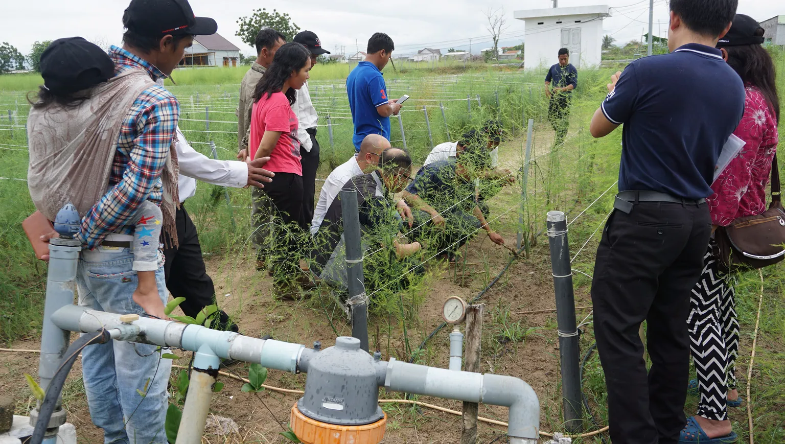 The group visited the new watering model of Cham people in Tuan Tu cooperative