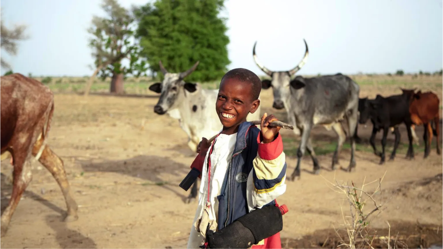 Re-engineering milk buckets that capture better returns for African farmers