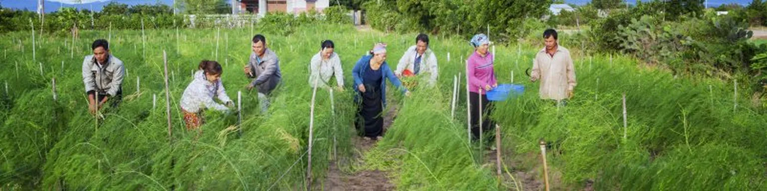 Group of people working in field