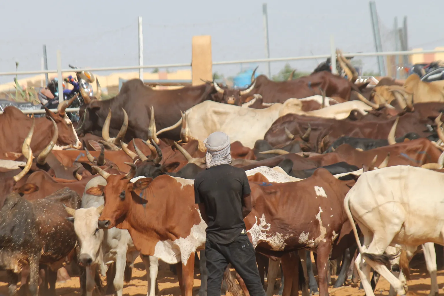 GARBAL is ready to launch in Burkina Faso