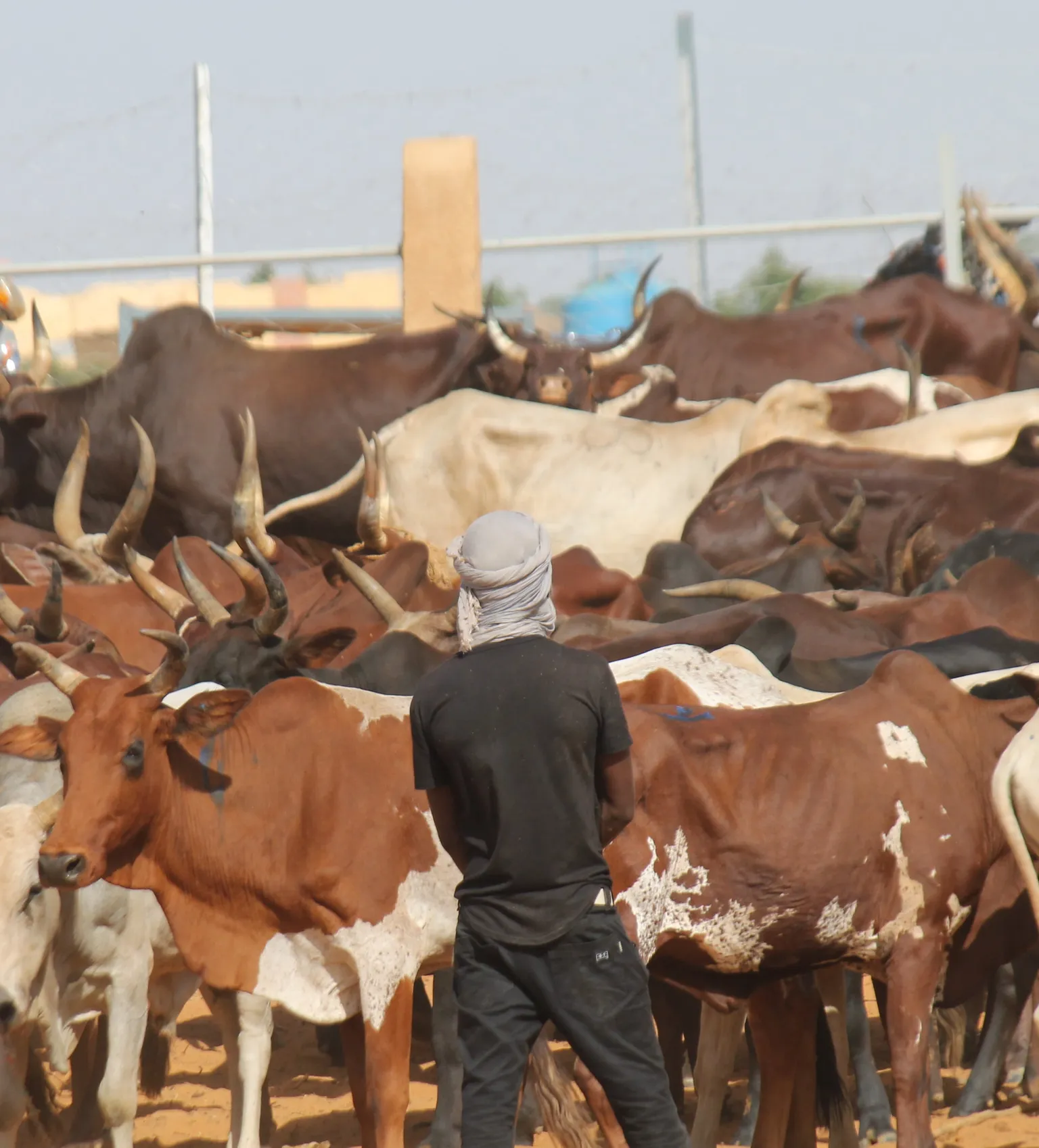 GARBAL is ready to launch in Burkina Faso