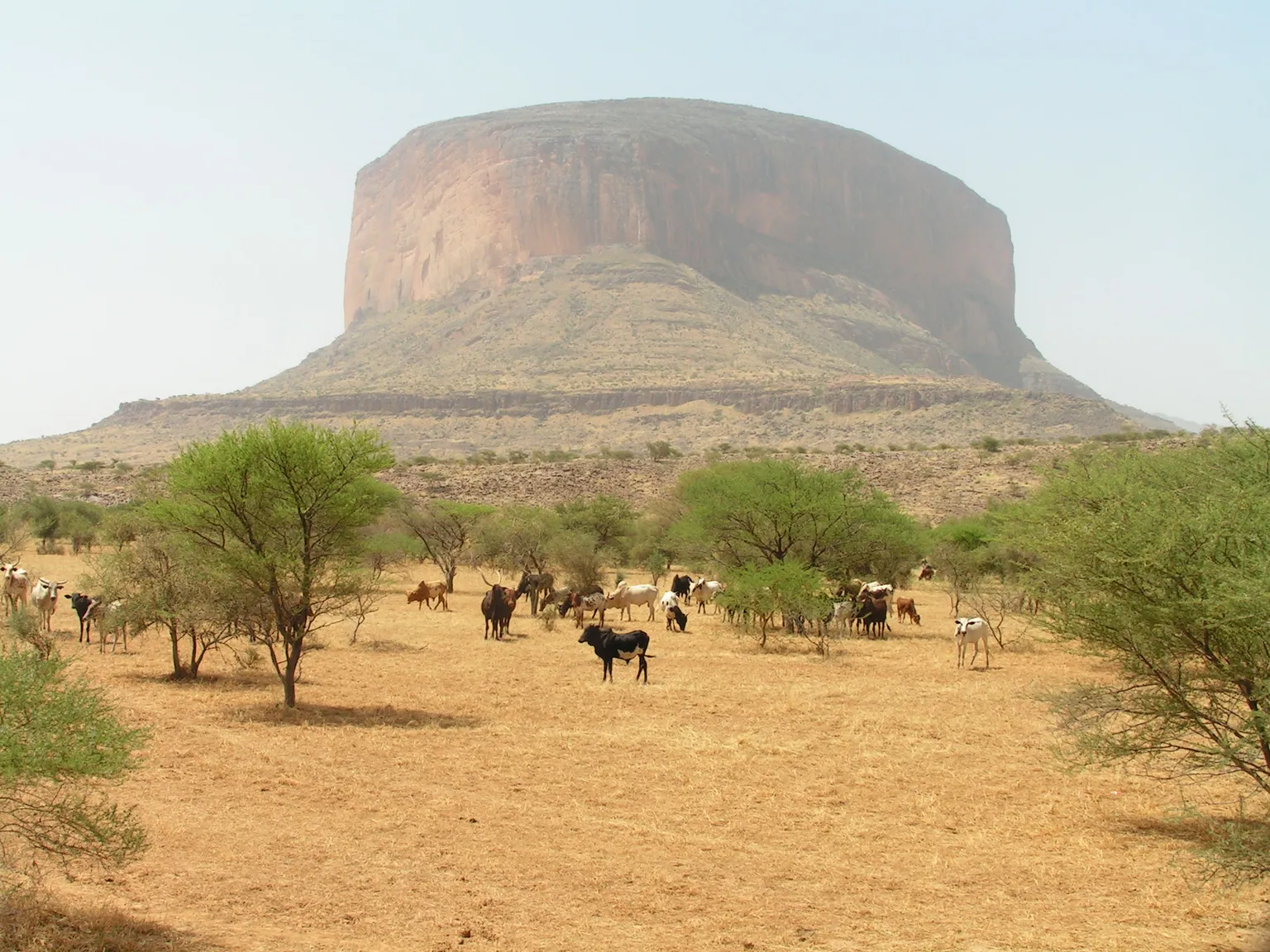 Garbal: a satellite information service for pastoralist farmers in northern Mali