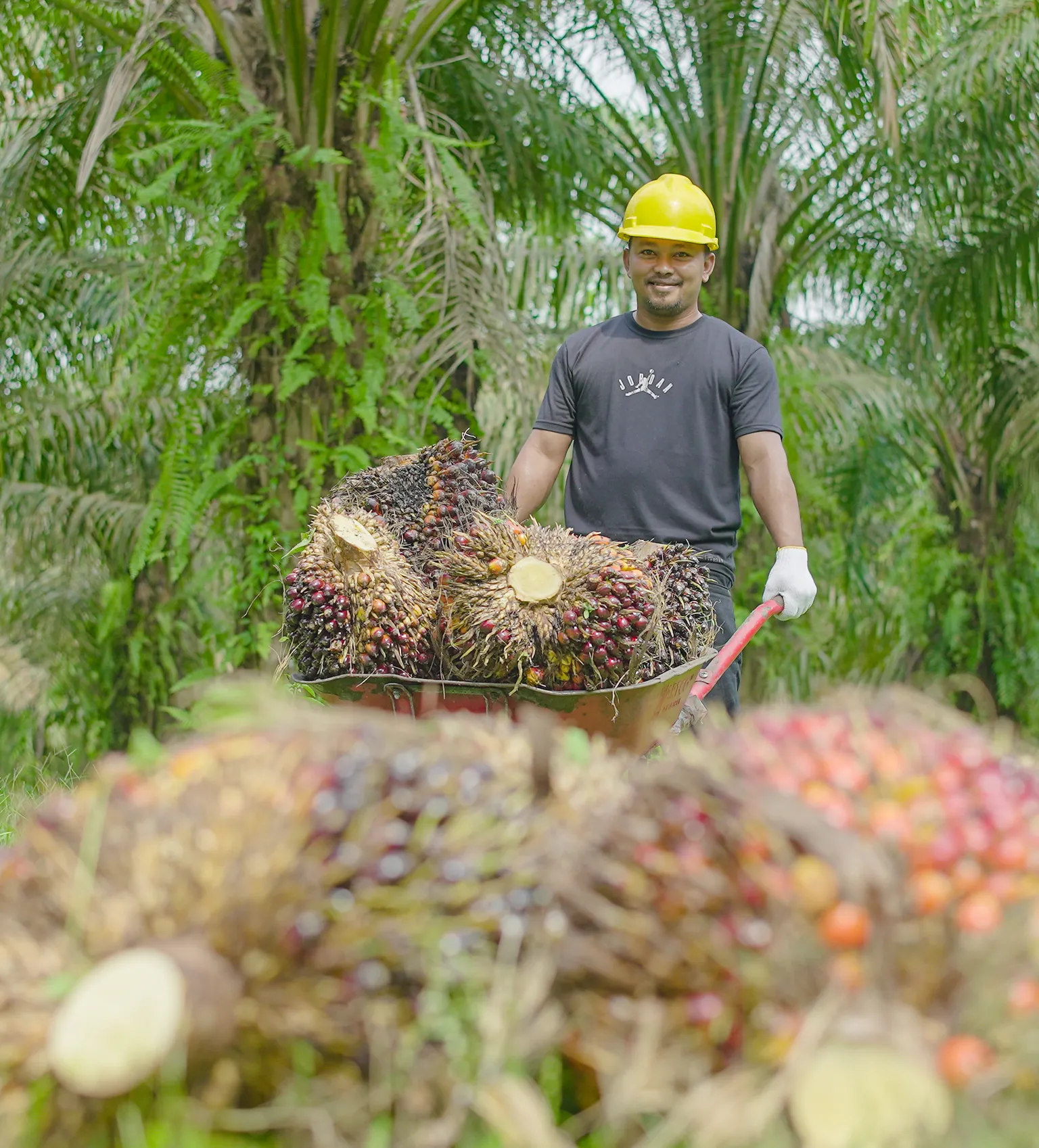 Palm oil farmer