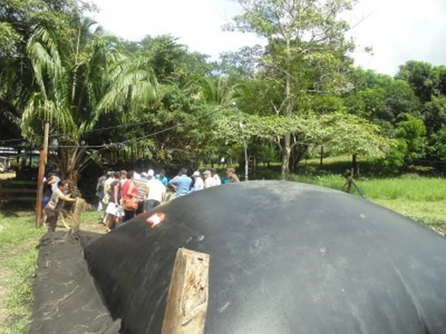 Oasis takes advantage of biogas