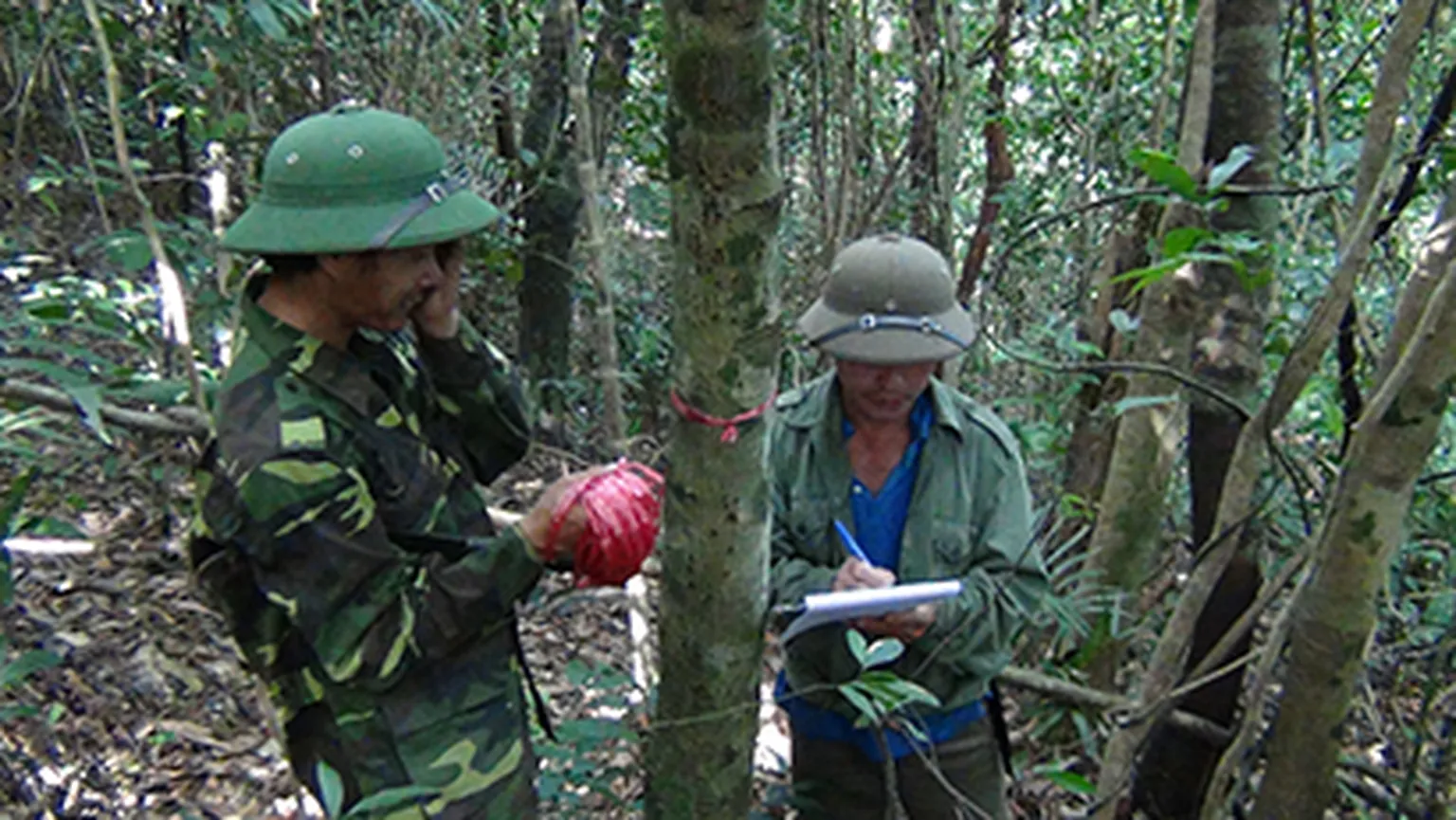 Training course on silviculture techniques