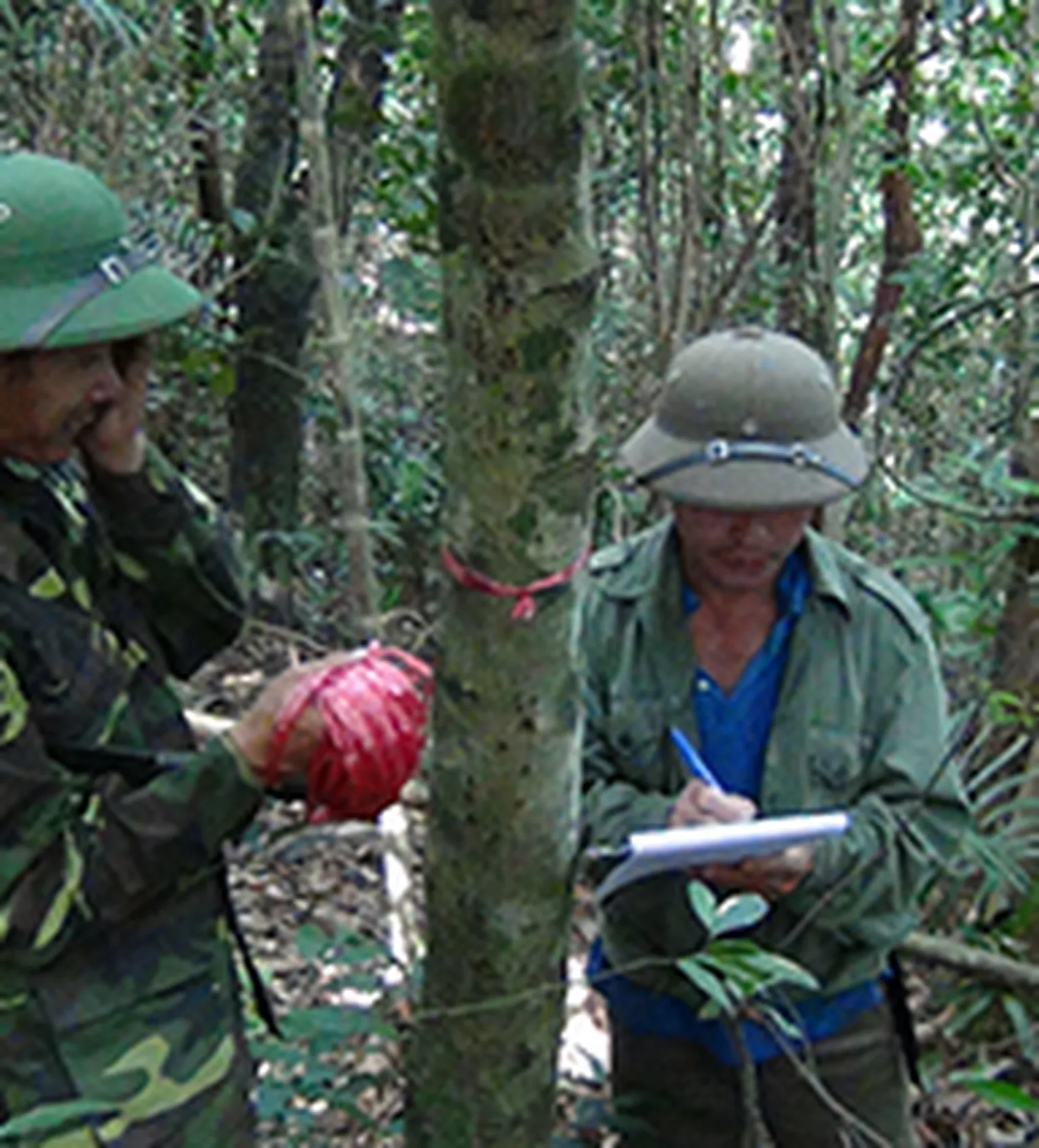 Training course on silviculture techniques