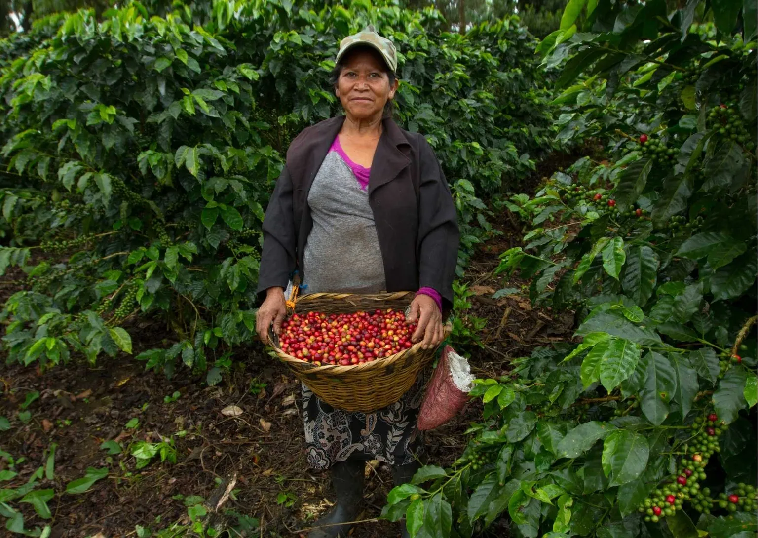 Woman in agriculture