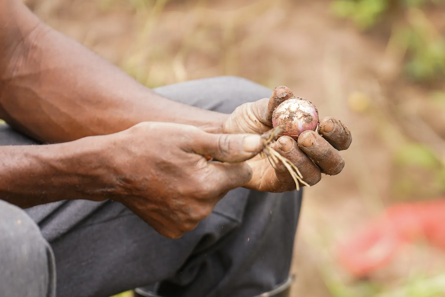 man holding an onion