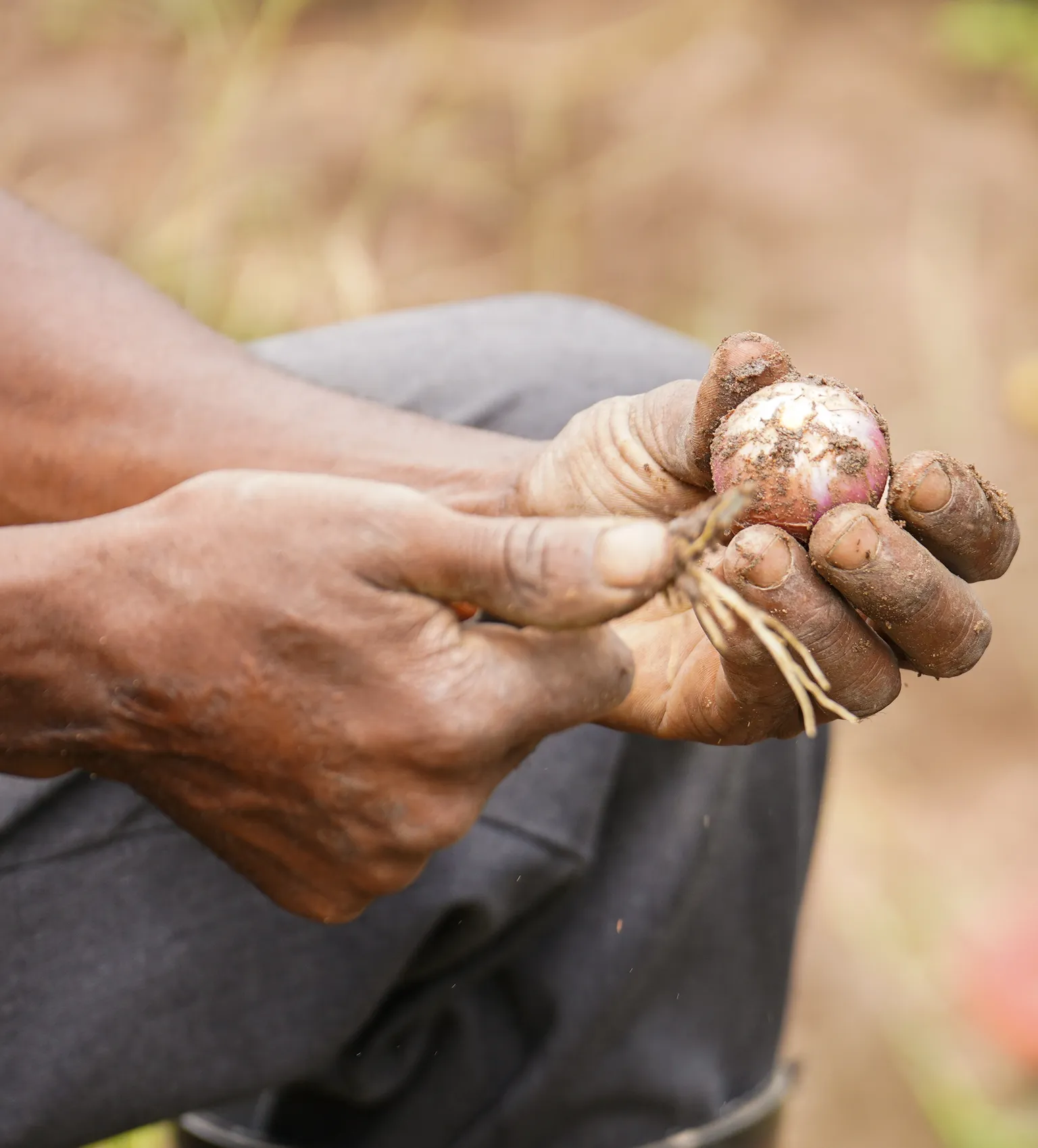 man holding an onion