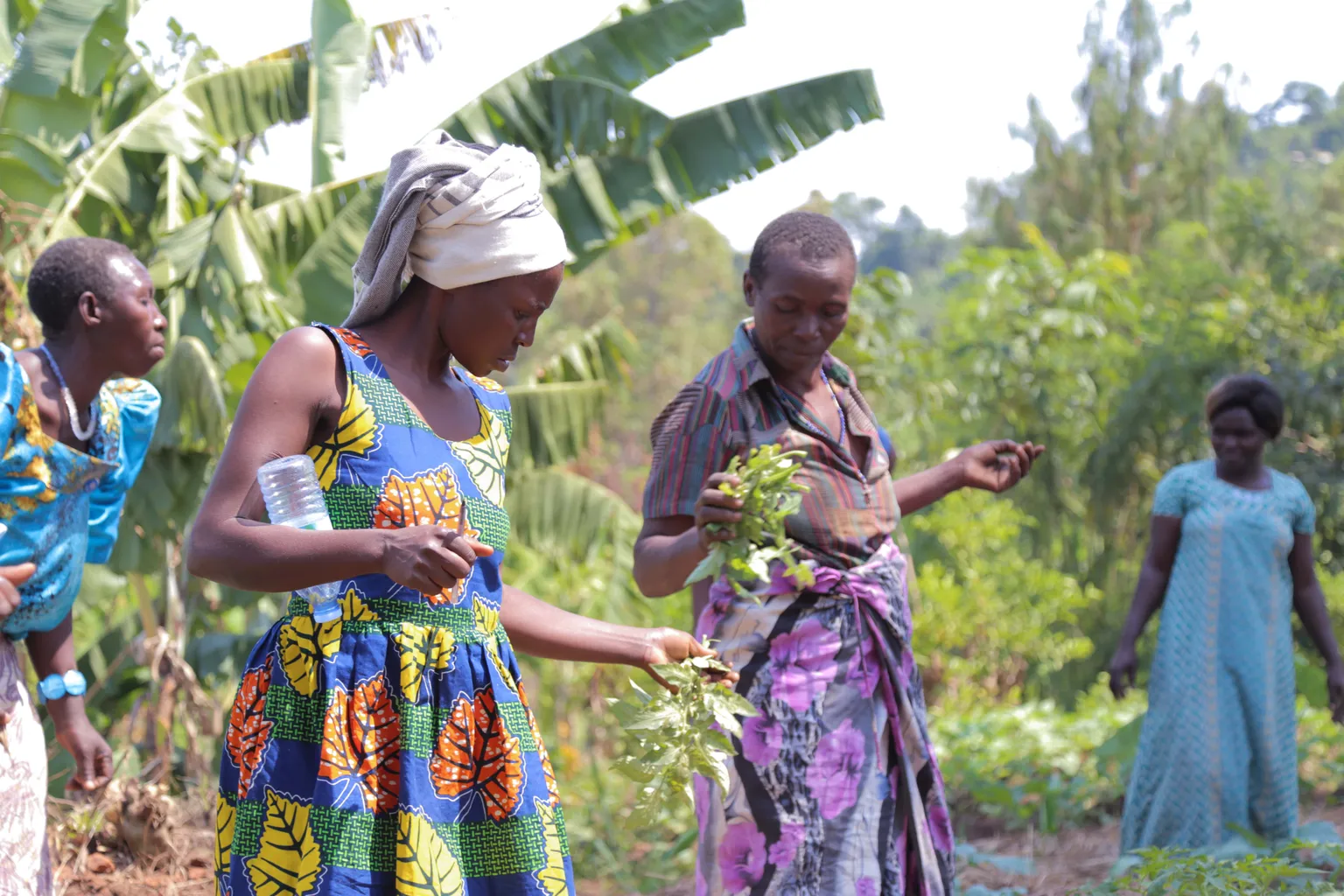 Poverty reduction: A process that requires time and patience