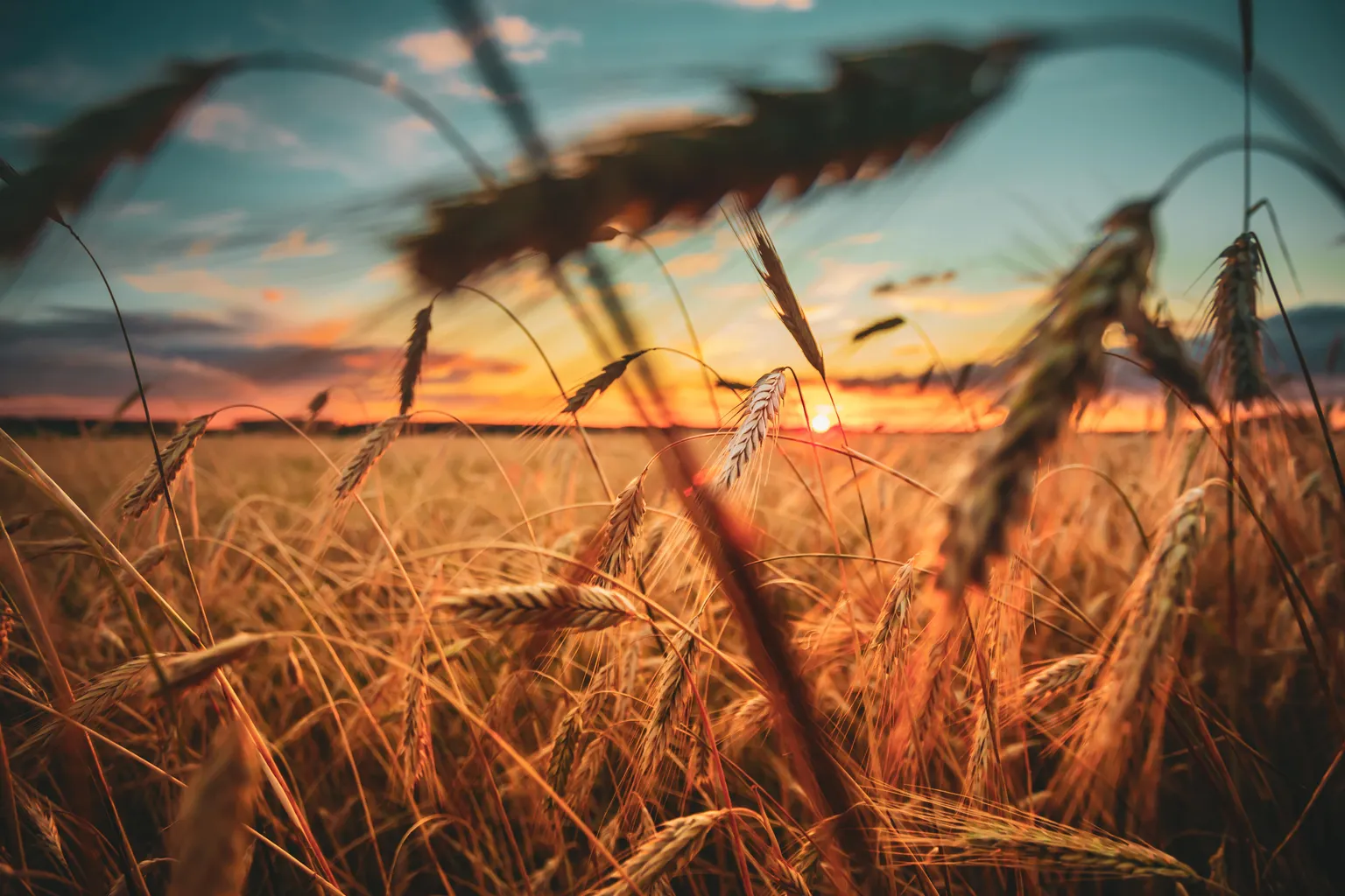 Working on climate resilient agriculture in East Africa
