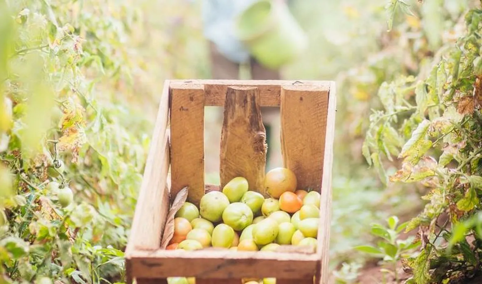 Some more success stories