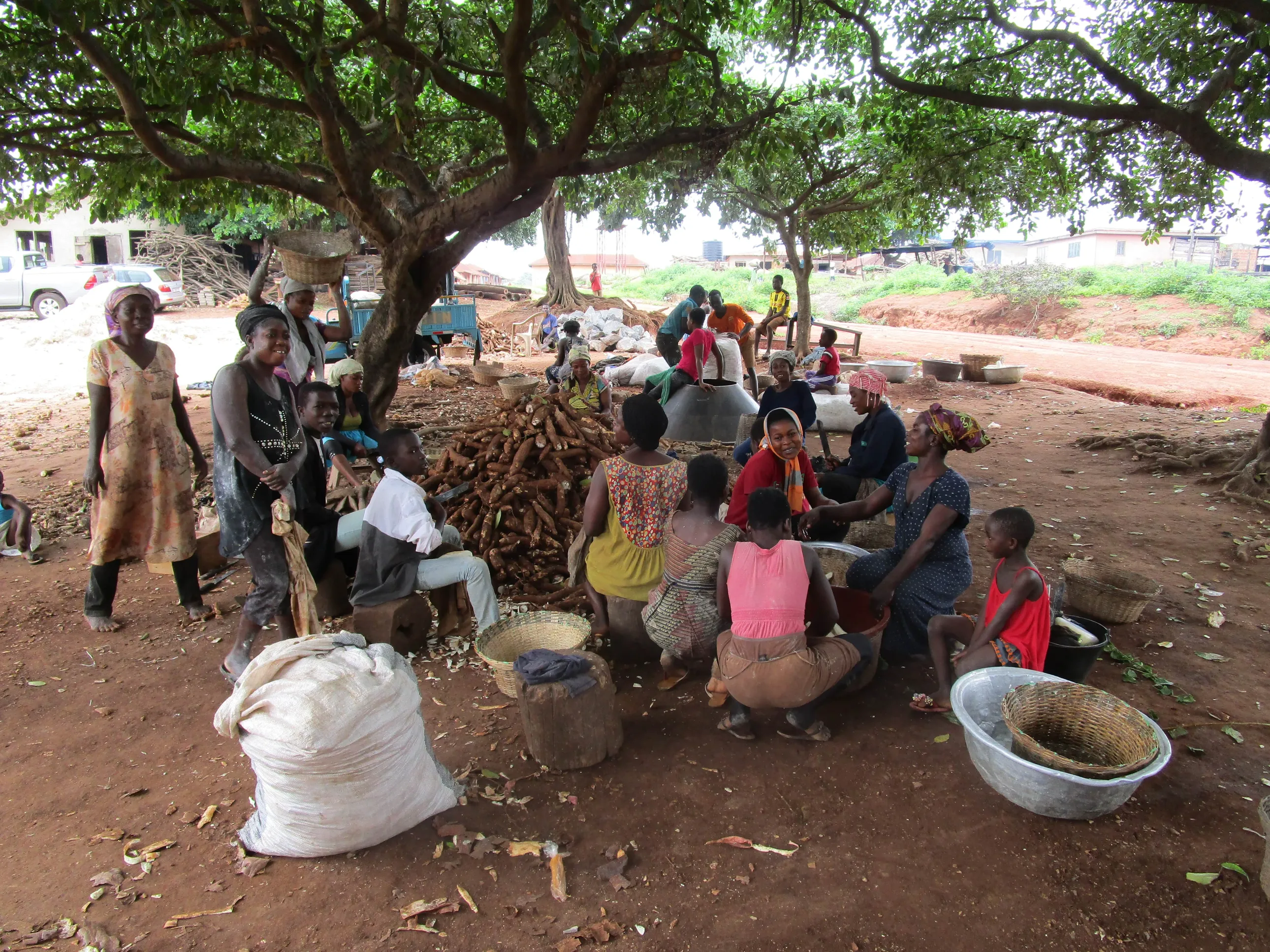 cassava industry